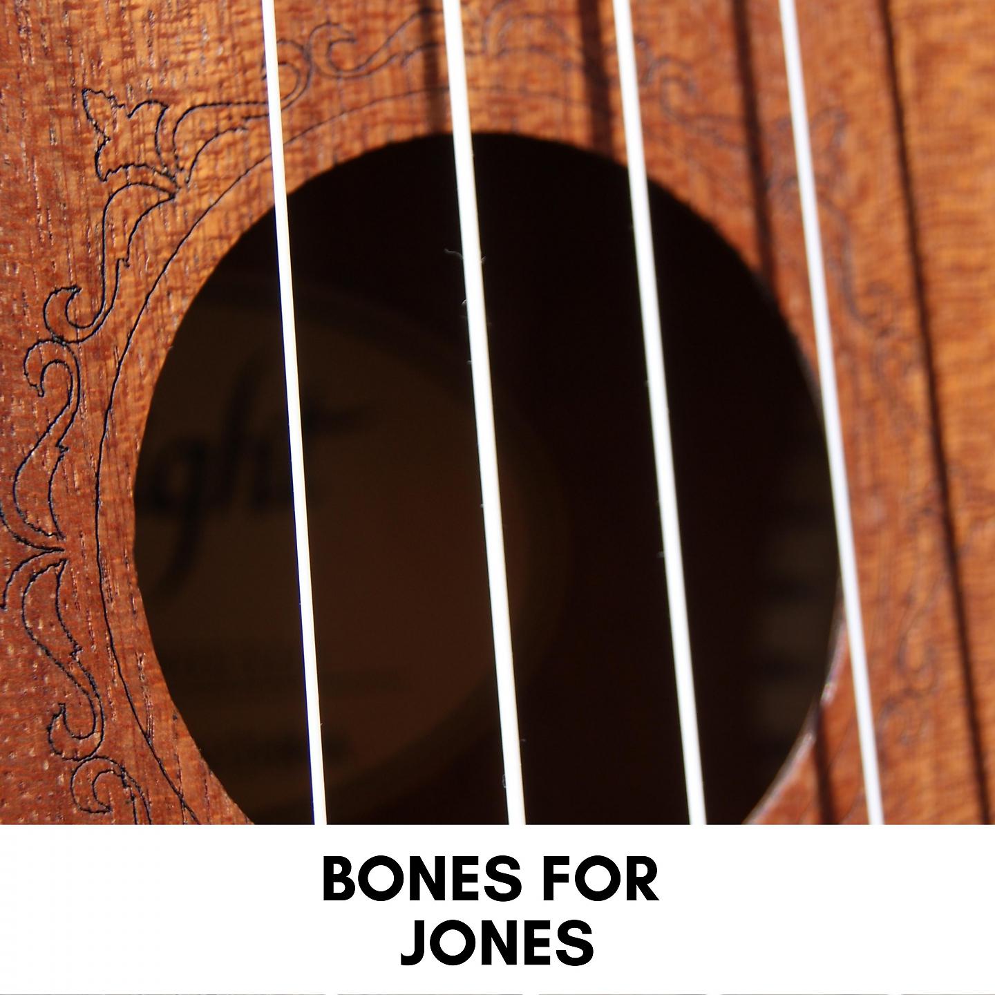Постер альбома Bones for Jones