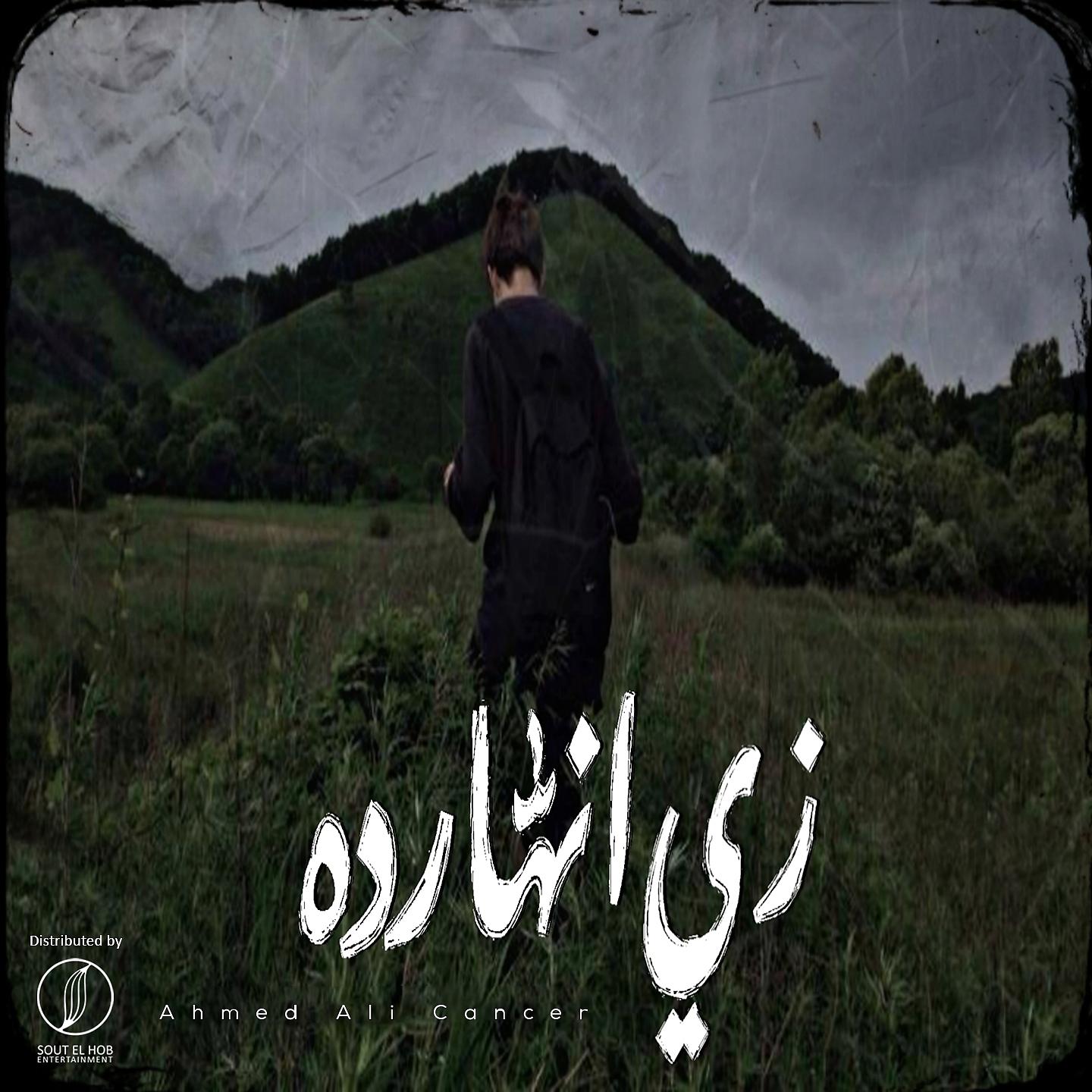 Постер альбома زي النهارده