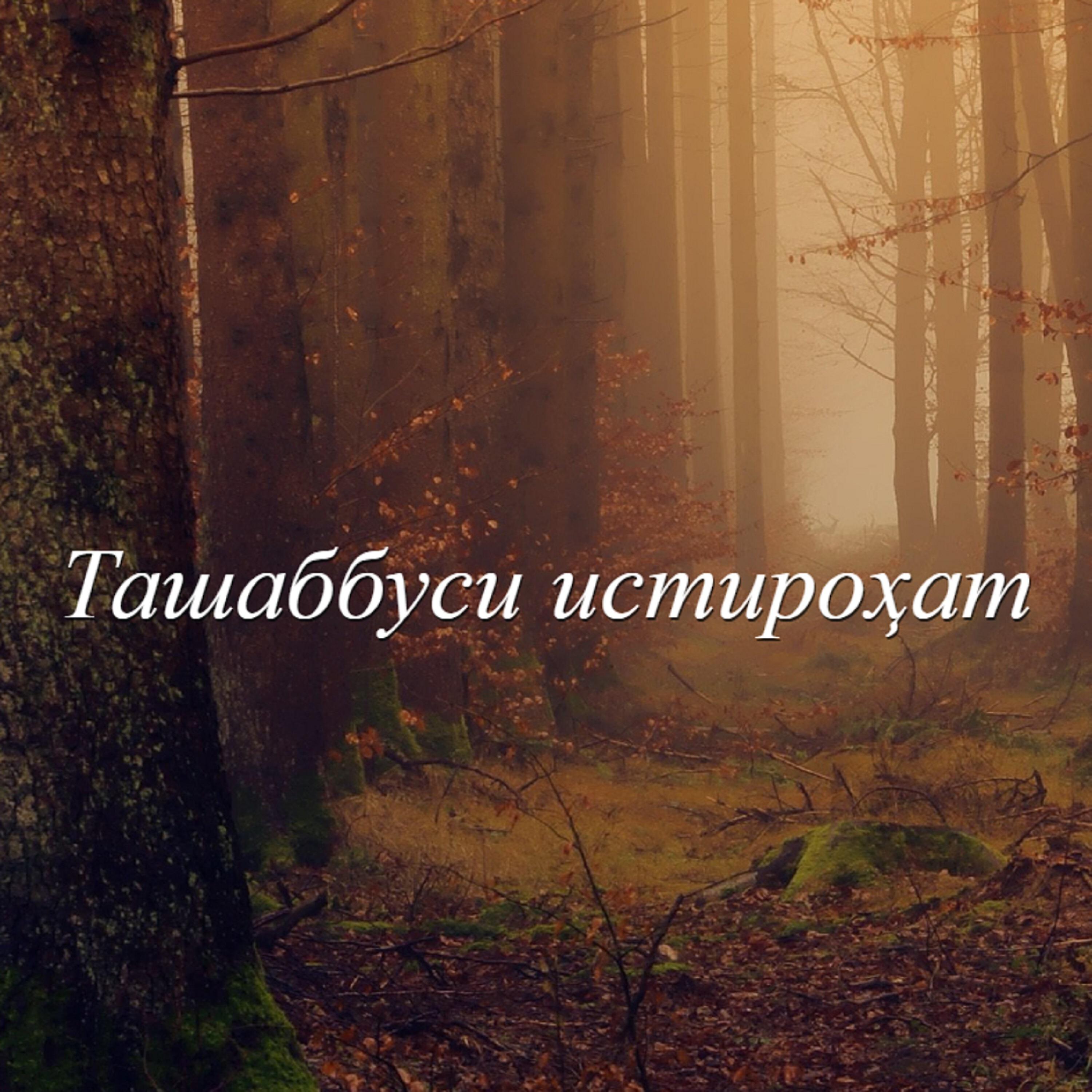 Iniciativa Relax Initiative - Бразилия - Мусиқӣ барои мулоҳиза