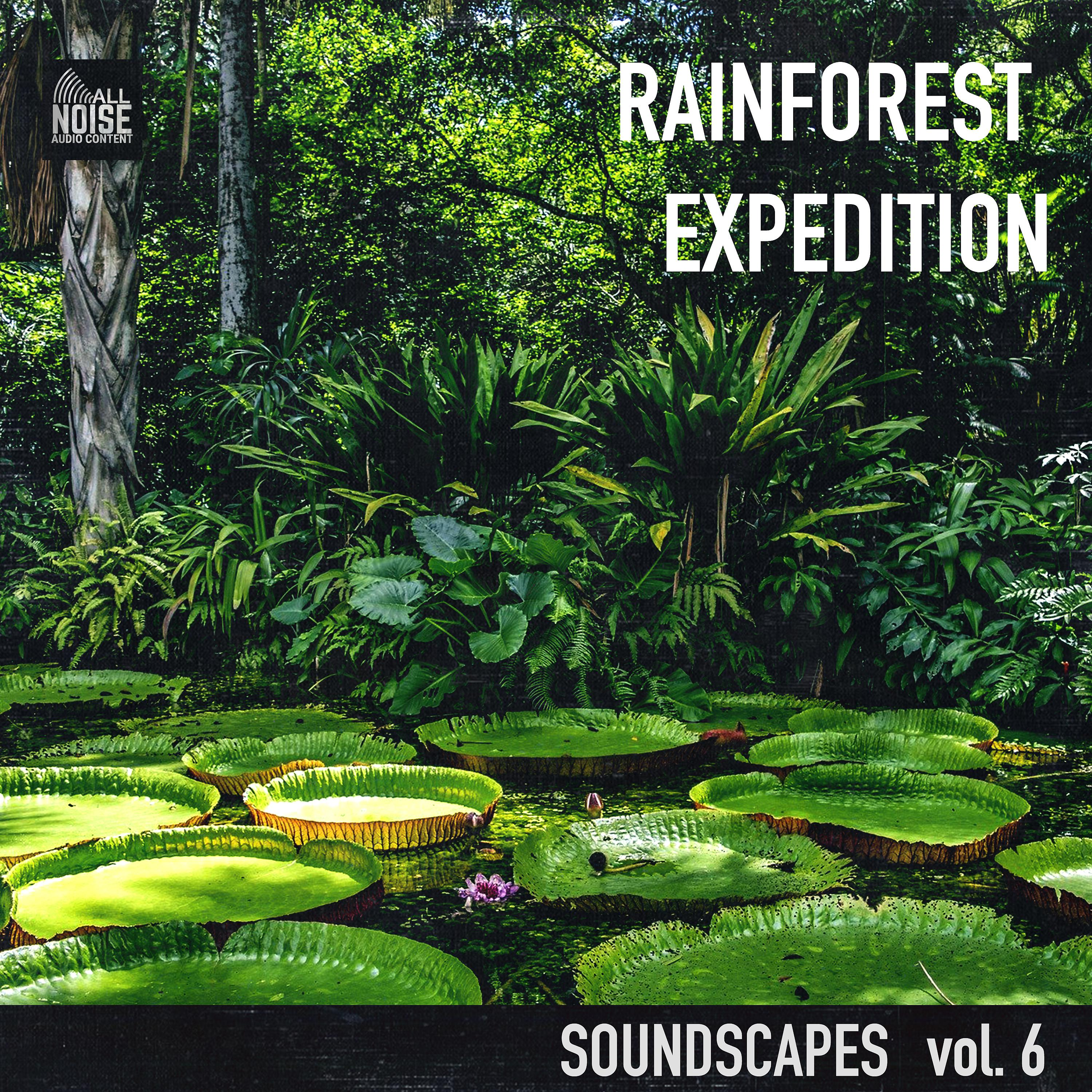 Постер альбома Soundscapes Vol.6: Rainforest Expedition