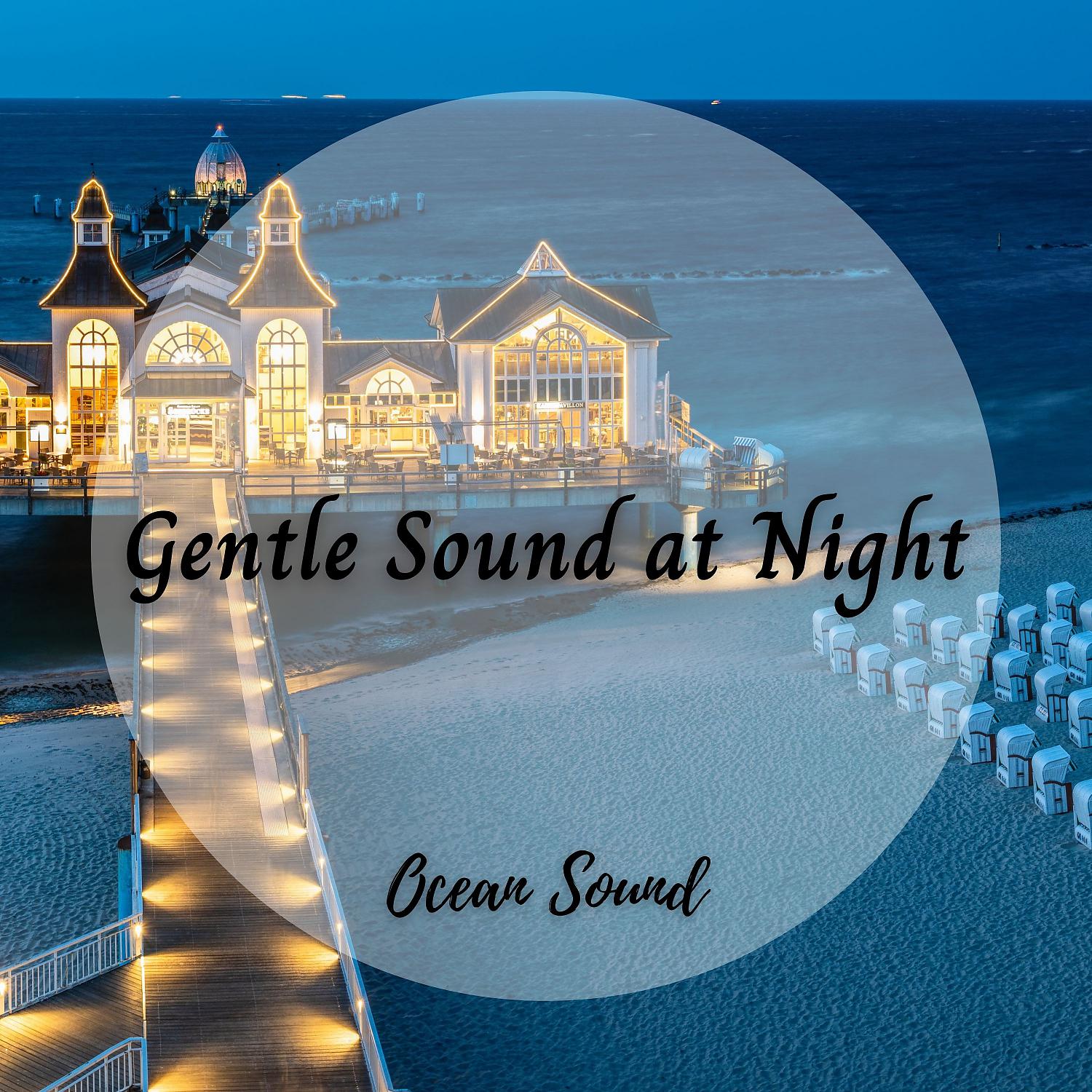 Постер альбома Ocean Sound: Gentle Sound at Night