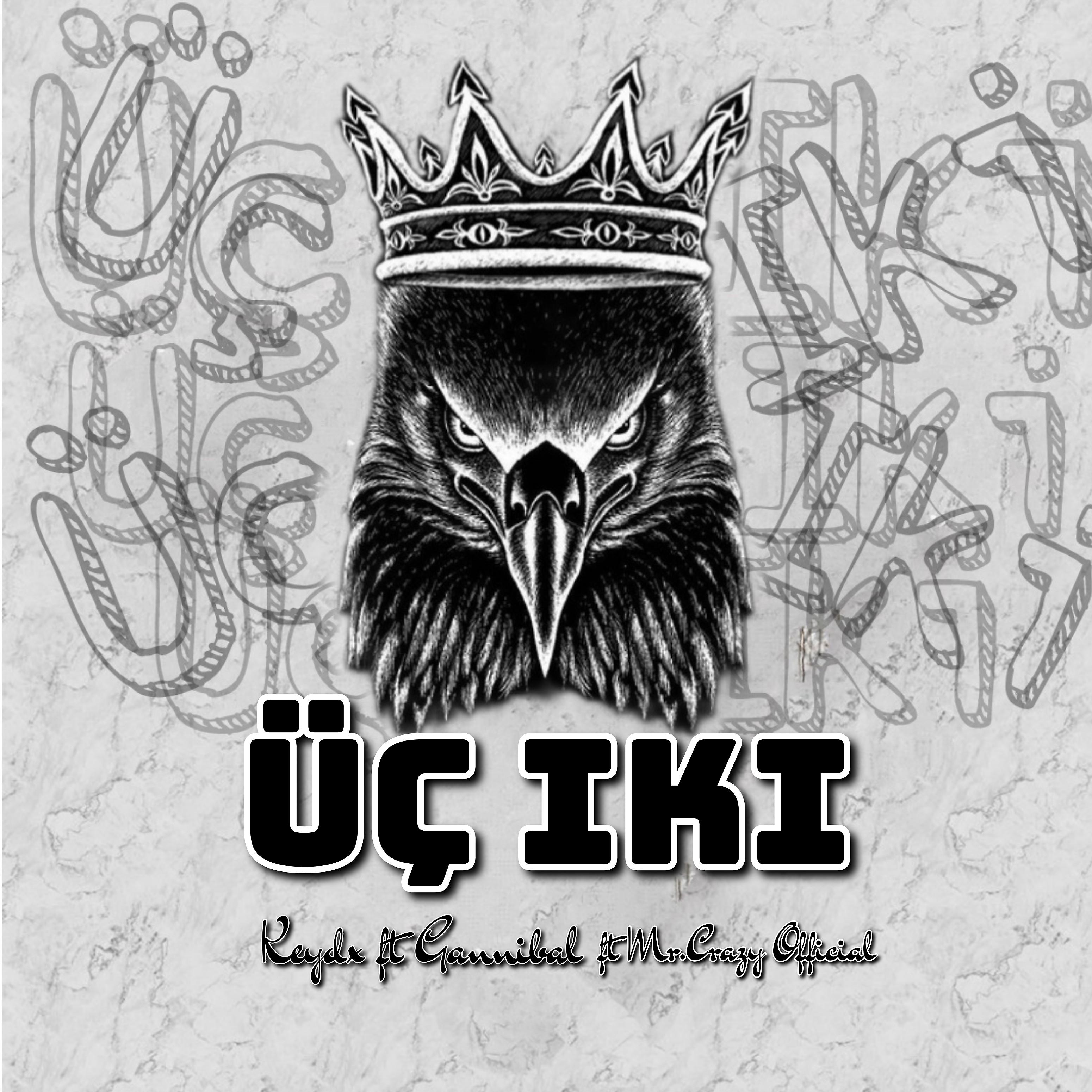 Постер альбома Üç Iki (feat. Gannibal, Mr.crazy Official)