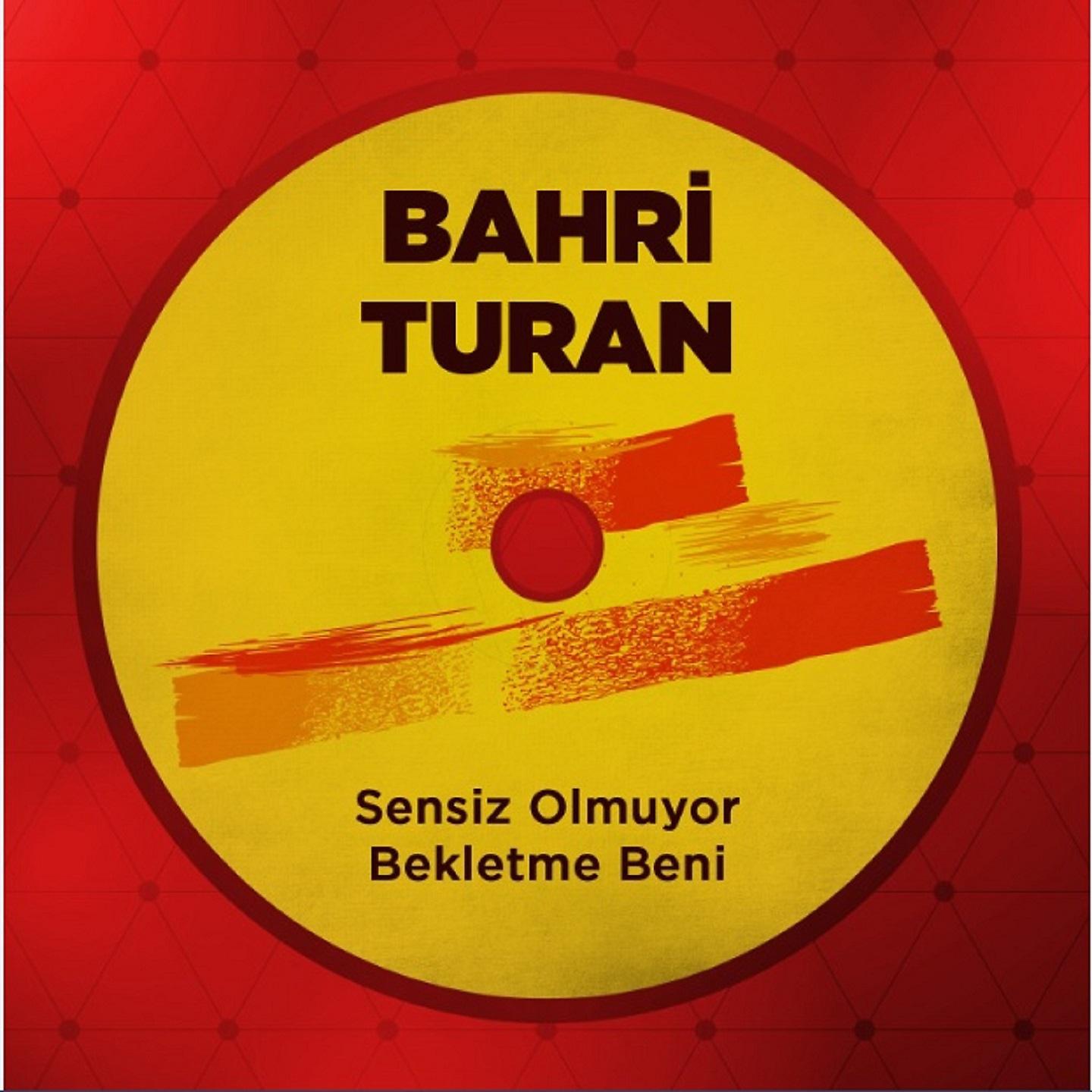 Постер альбома Sensiz Olmuyor / Bekletme Beni