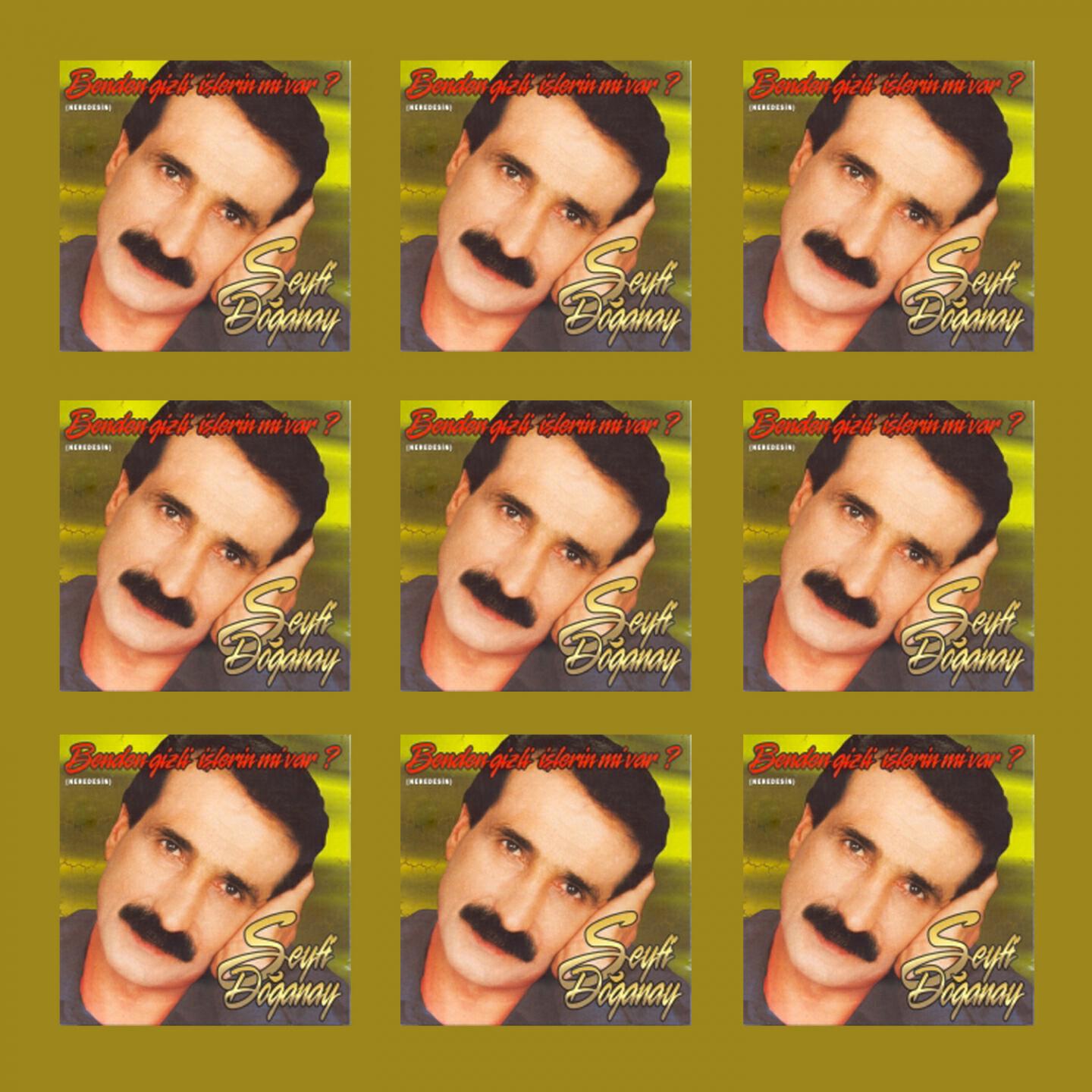 Seyfi Doğanay - Veremediler