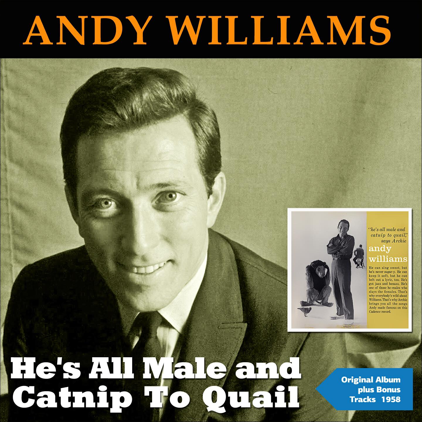 Andy Williams - Straight from My Heart