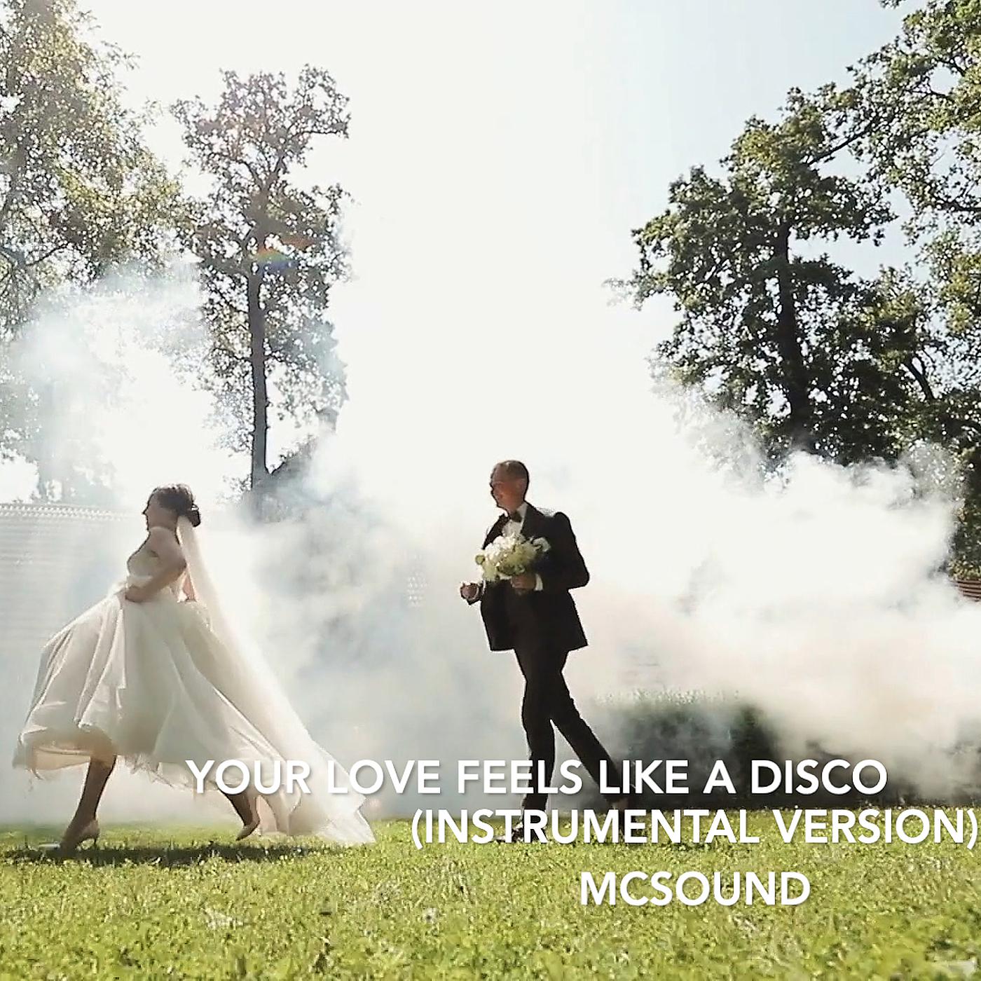 Постер альбома Your Love Feels Like a Disco (Instrumental Version)