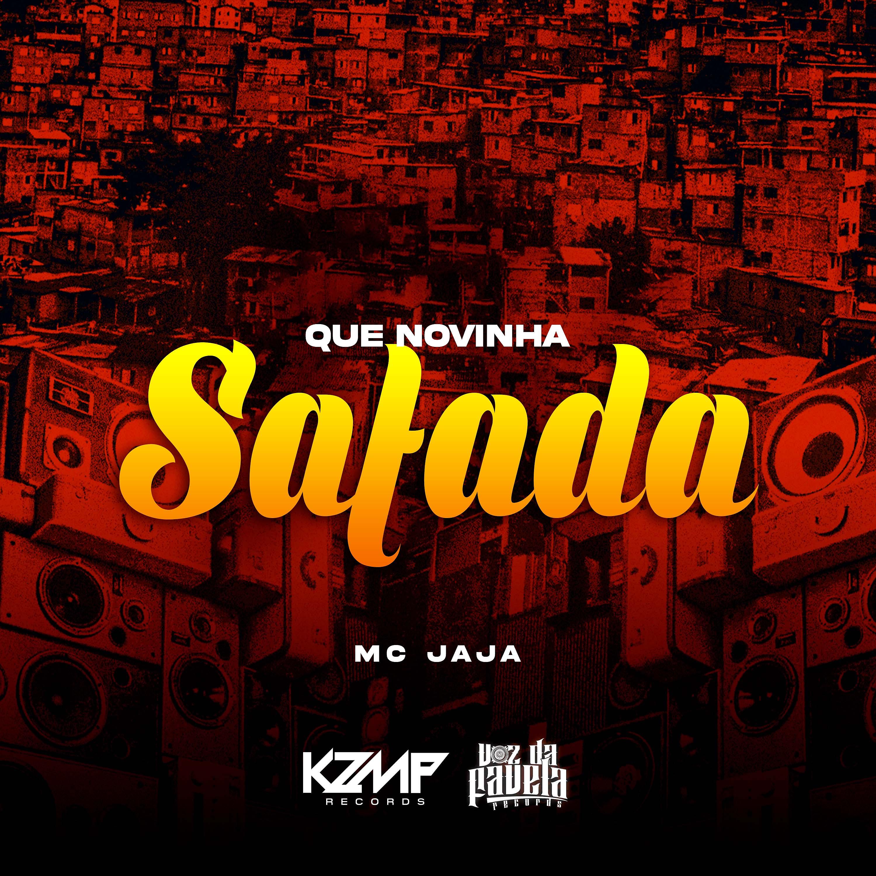 Постер альбома Que Novinha Safada
