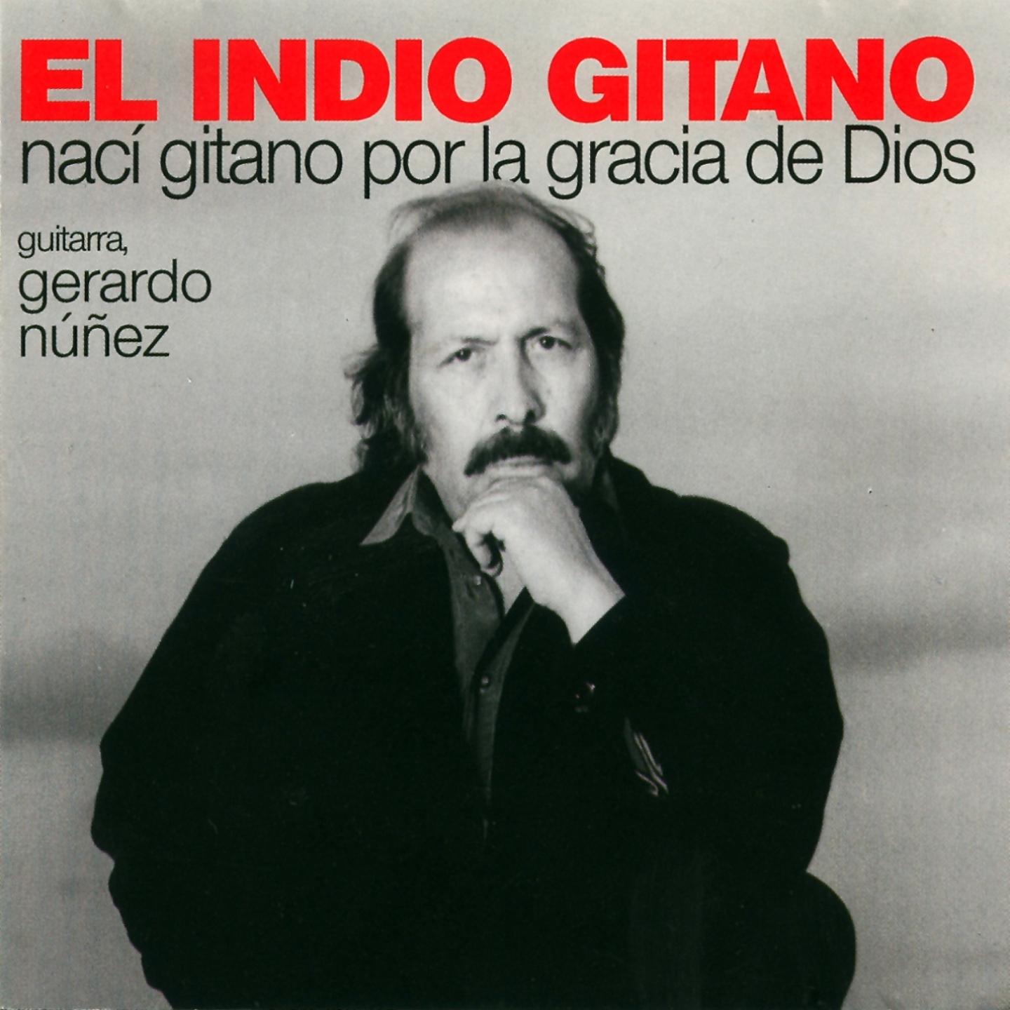 Постер альбома Nací Gitano por la Gracia de Dios