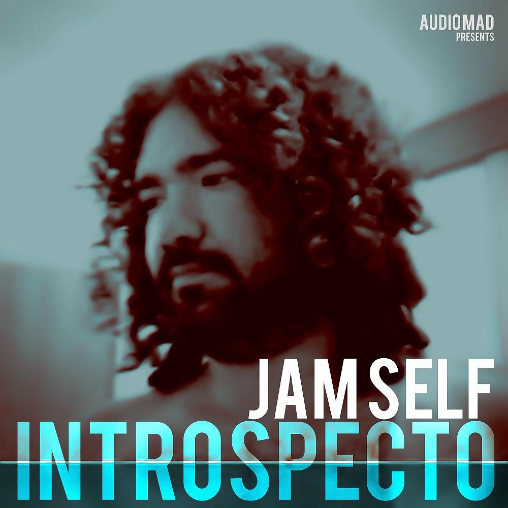 Постер альбома Introspecto