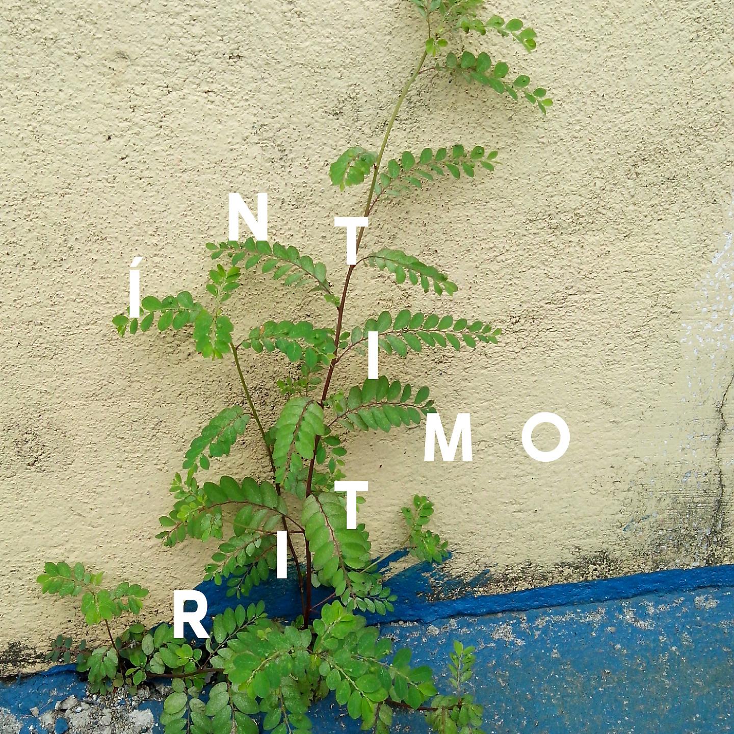 Постер альбома Íntimo Ritmo