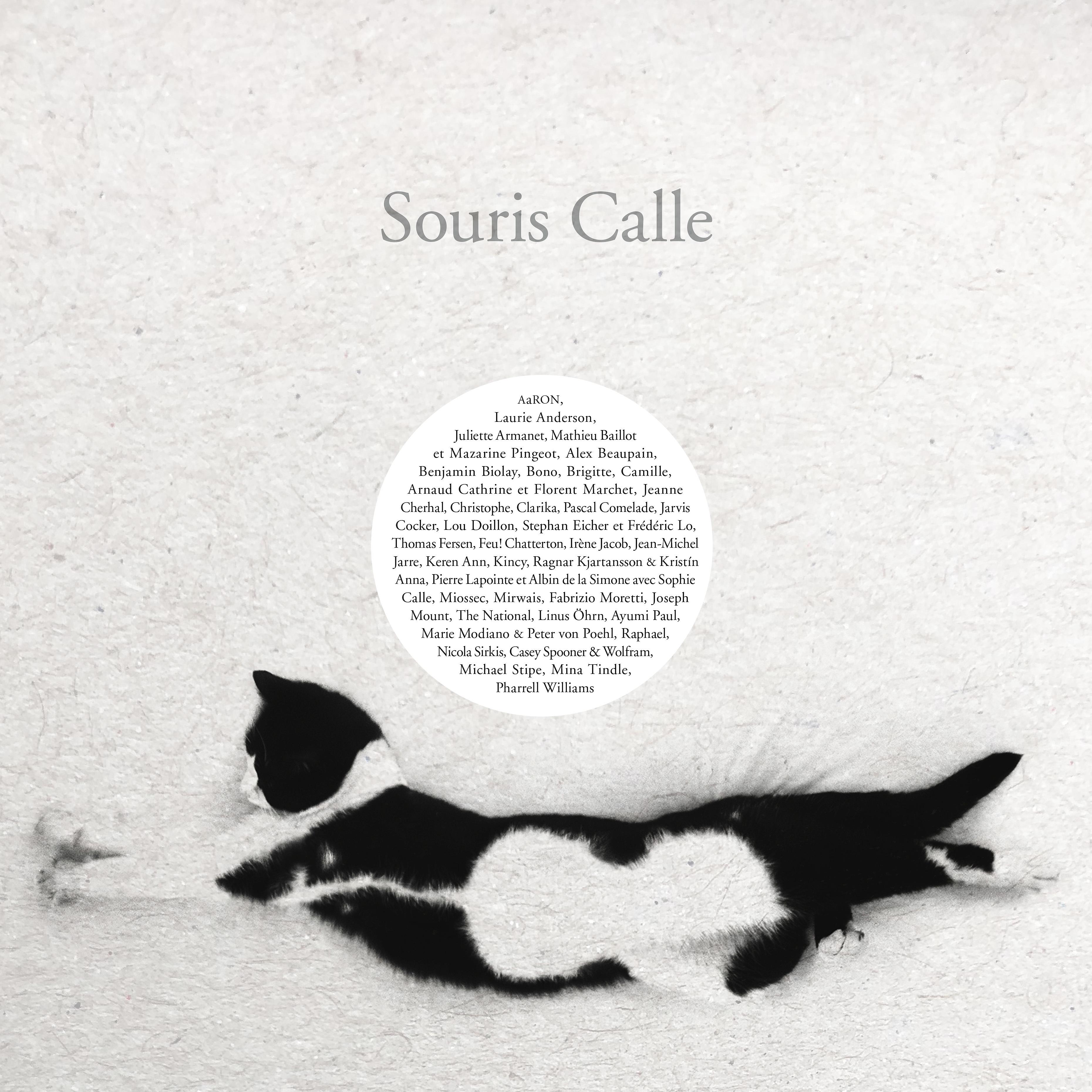 Постер альбома Souris Calle