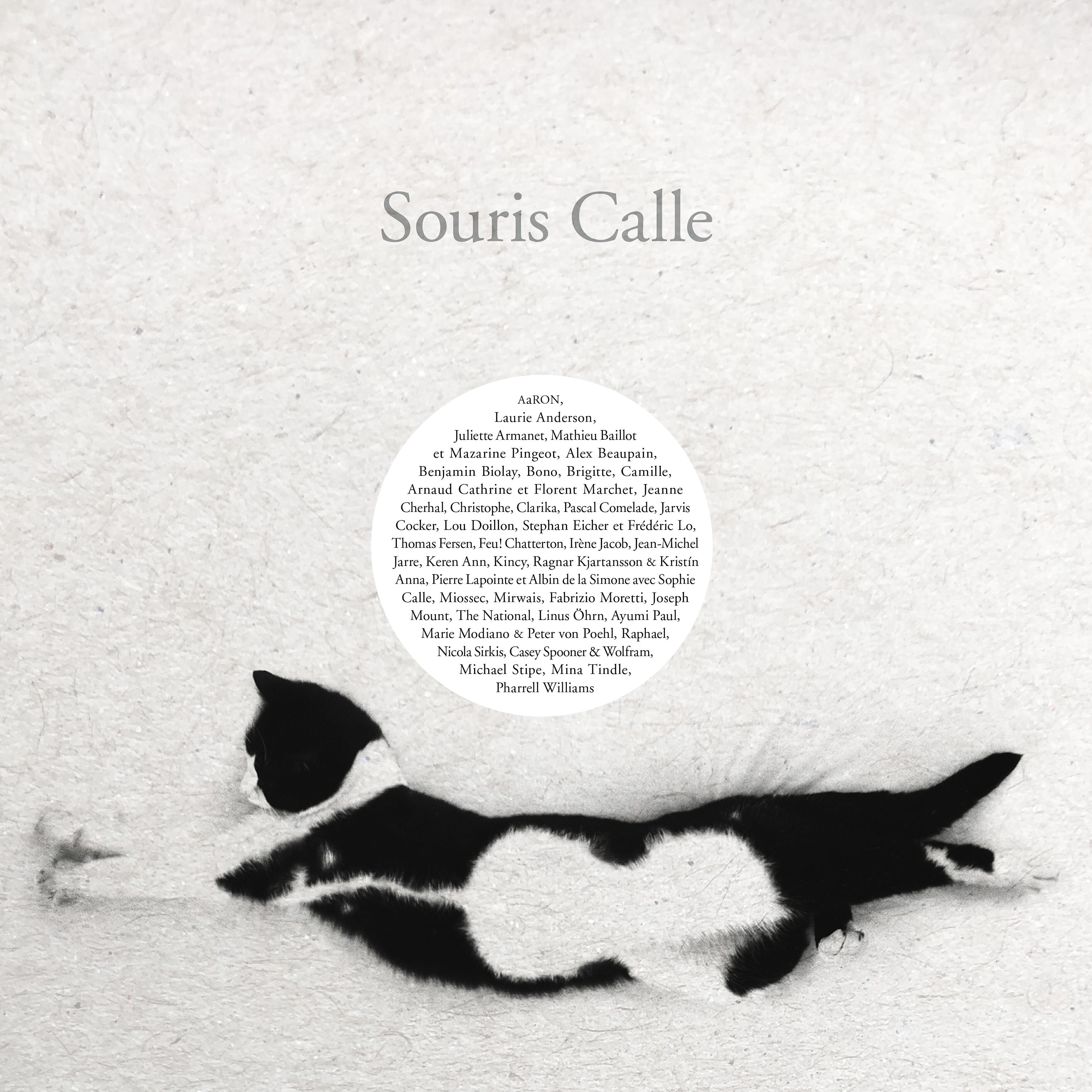 Casey Spooner - The Exquisite Corpse of Souris