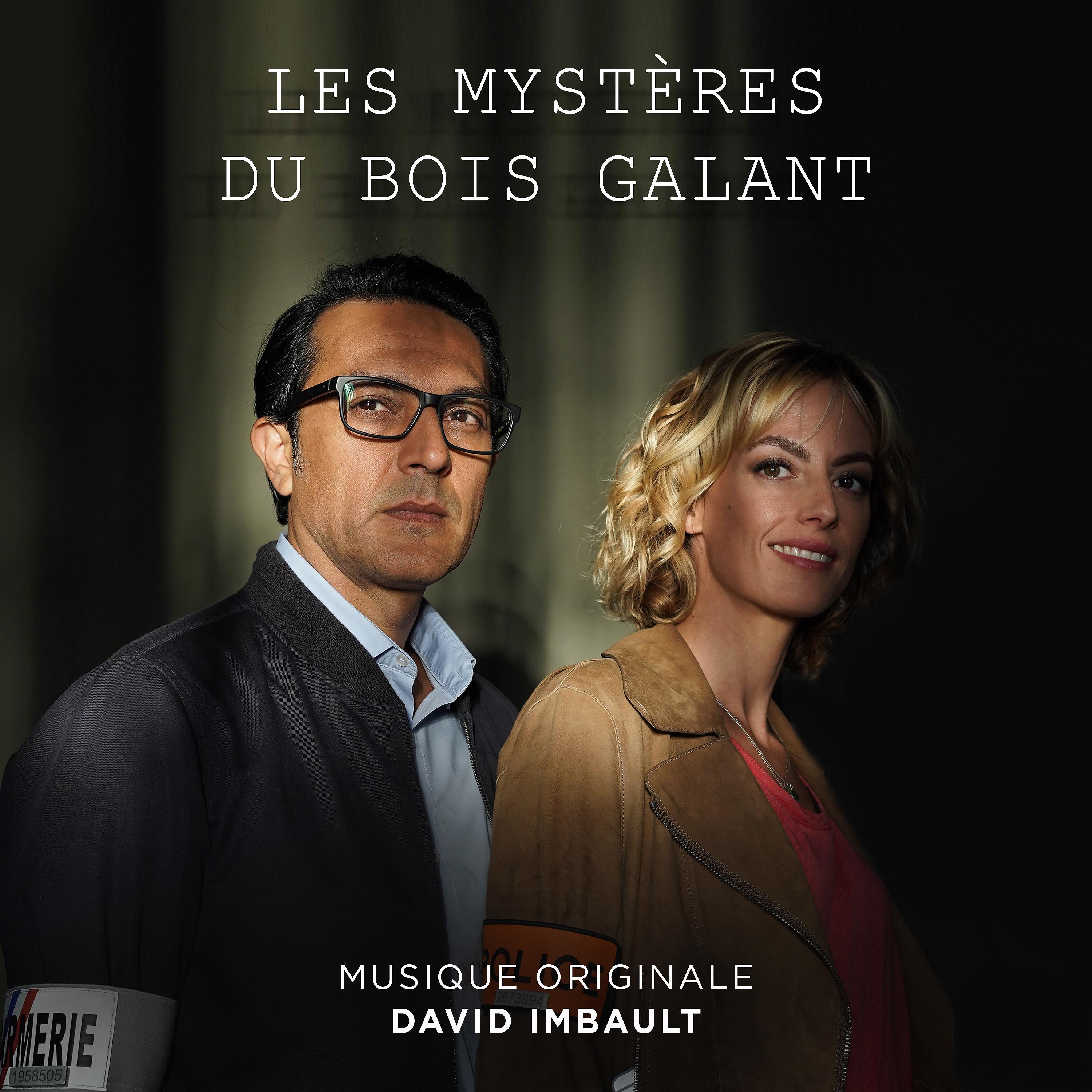 Постер альбома Les mystères du bois galant (Original Motion Picture Soundtrack)