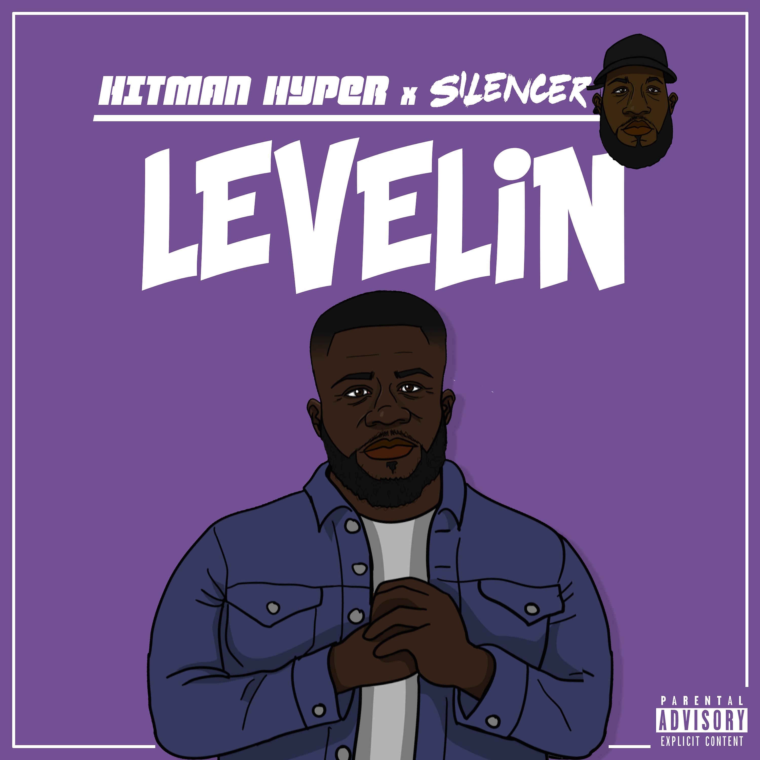Постер альбома Levelin