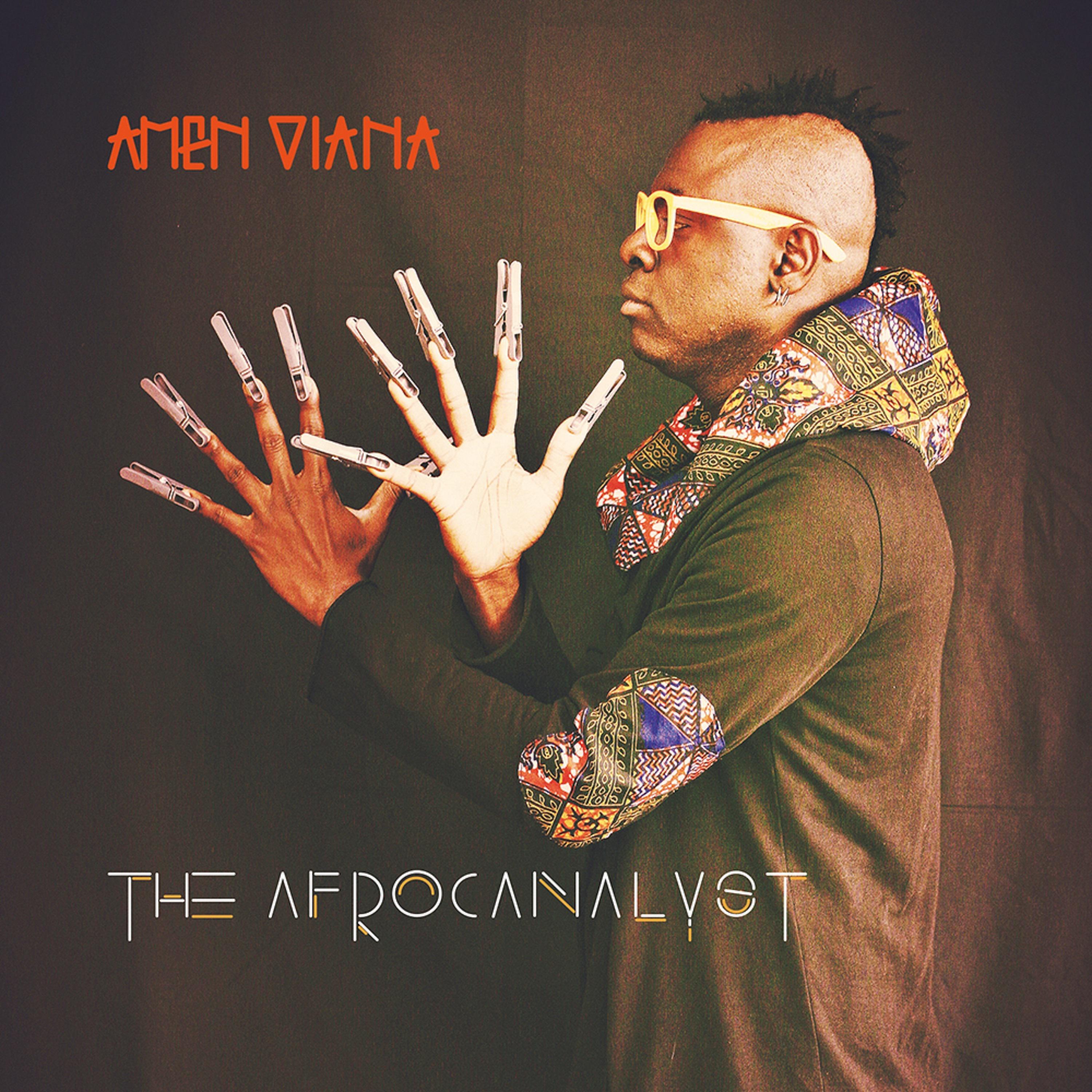 Постер альбома The Afrocanalyst