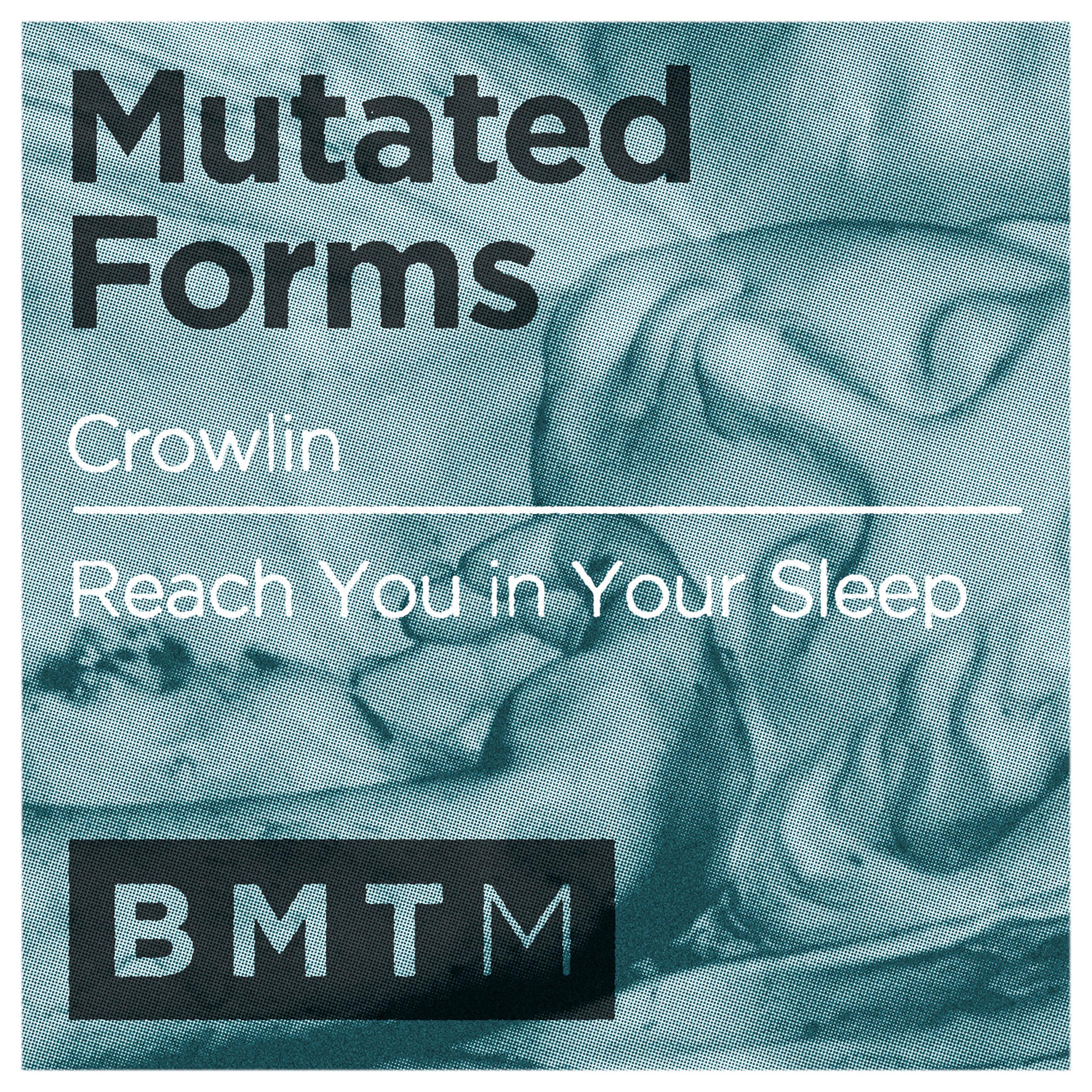 Постер альбома Crowlin / Reach You in Your Sleep