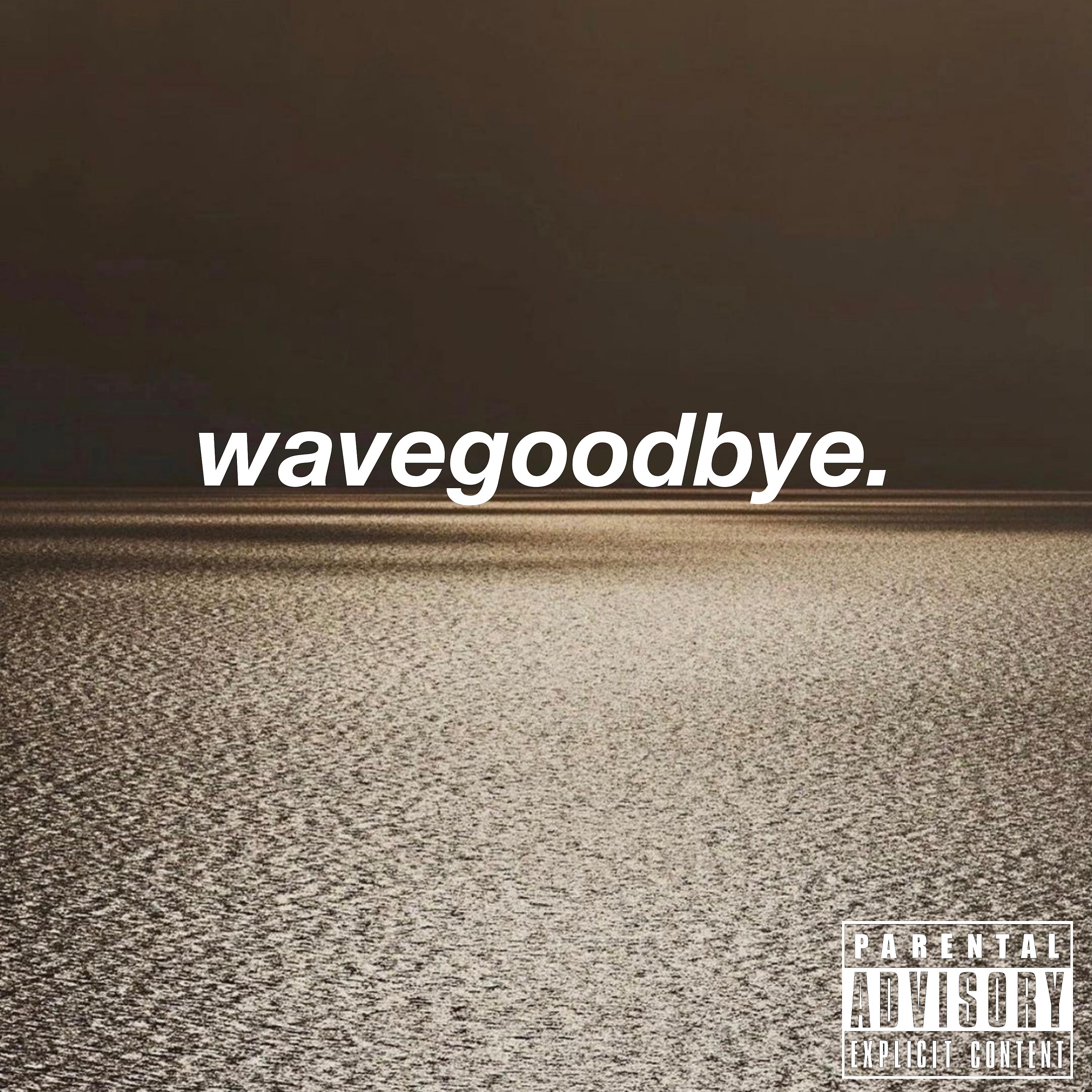 Постер альбома Wave Goodbye