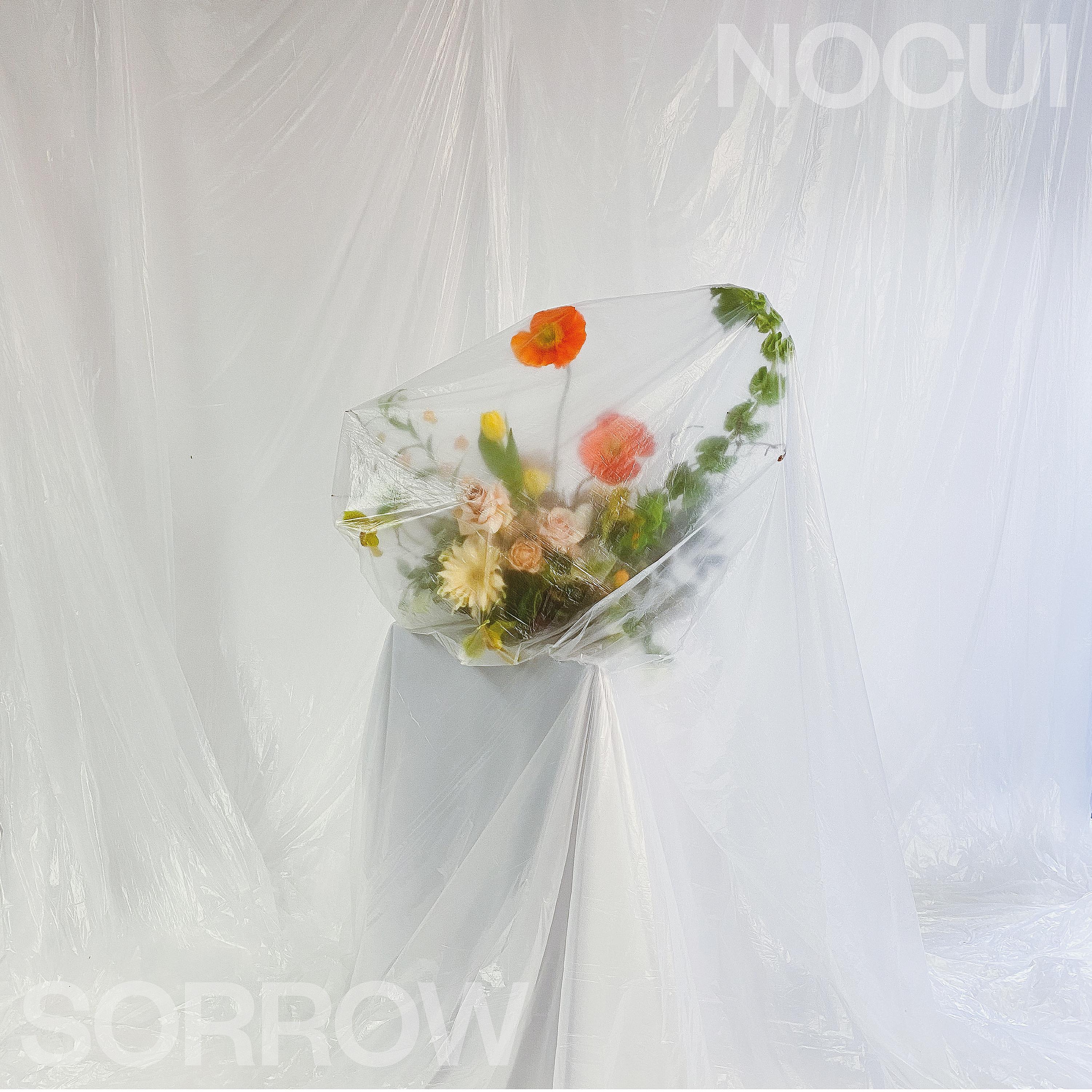 Постер альбома Sorrow