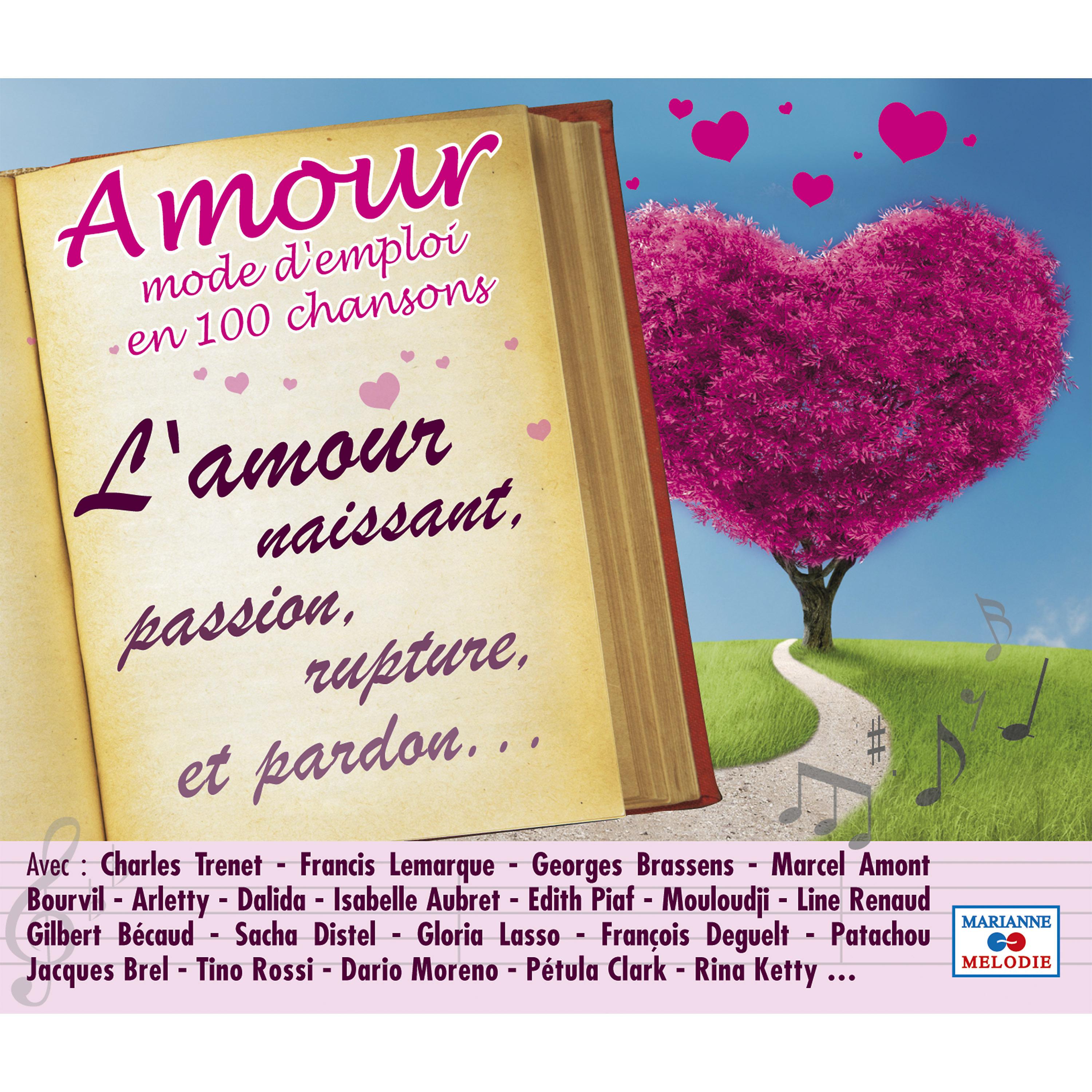Постер альбома Amour: Mode d'emploi en 100 chansons (L'amour naissant, passion, rupture, et pardon...)