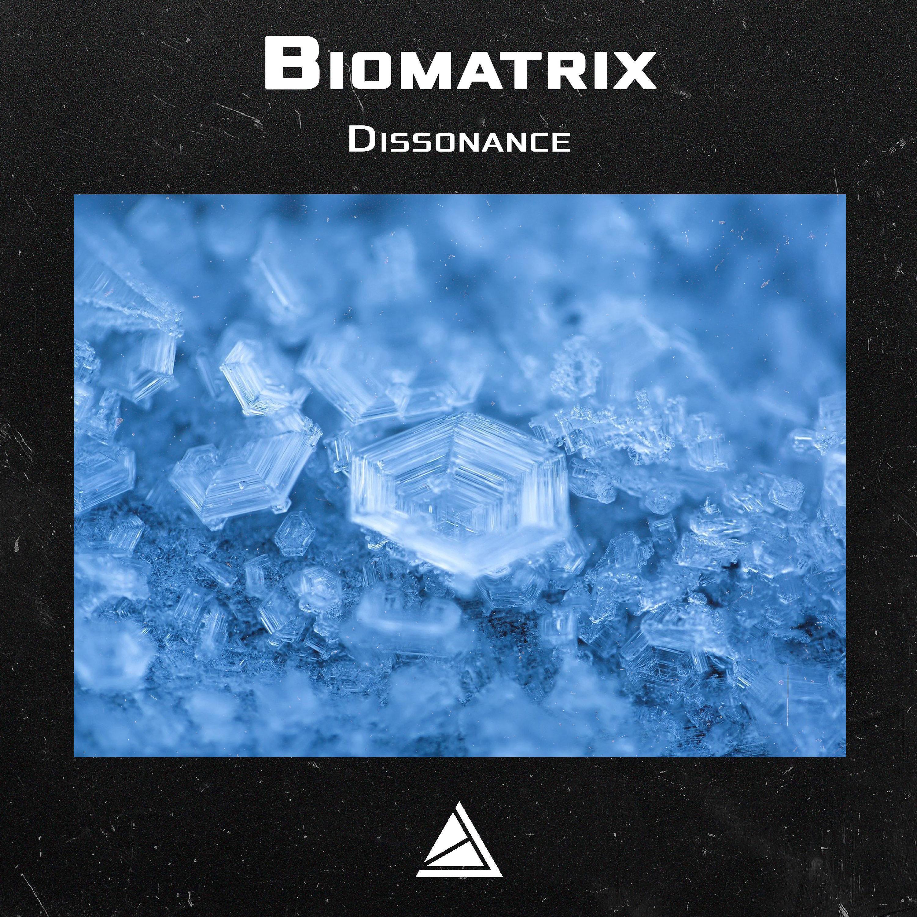 Biomatrix - Dissonance