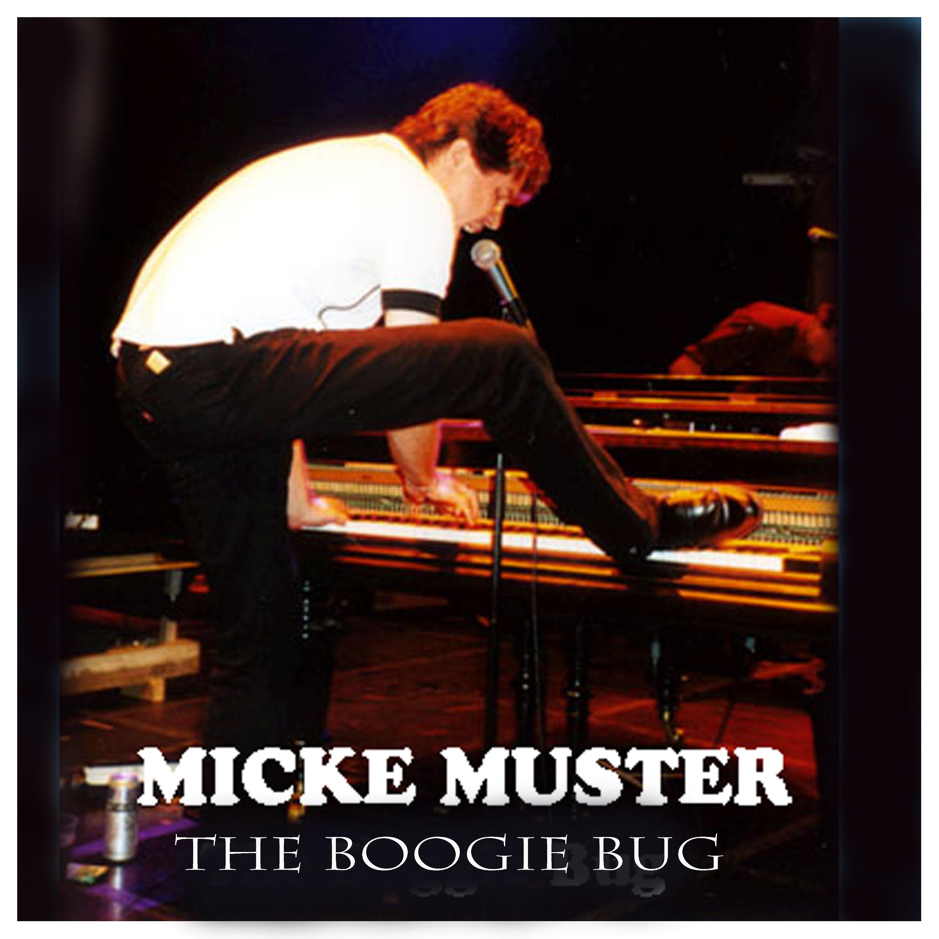 Постер альбома The Boogie Bug