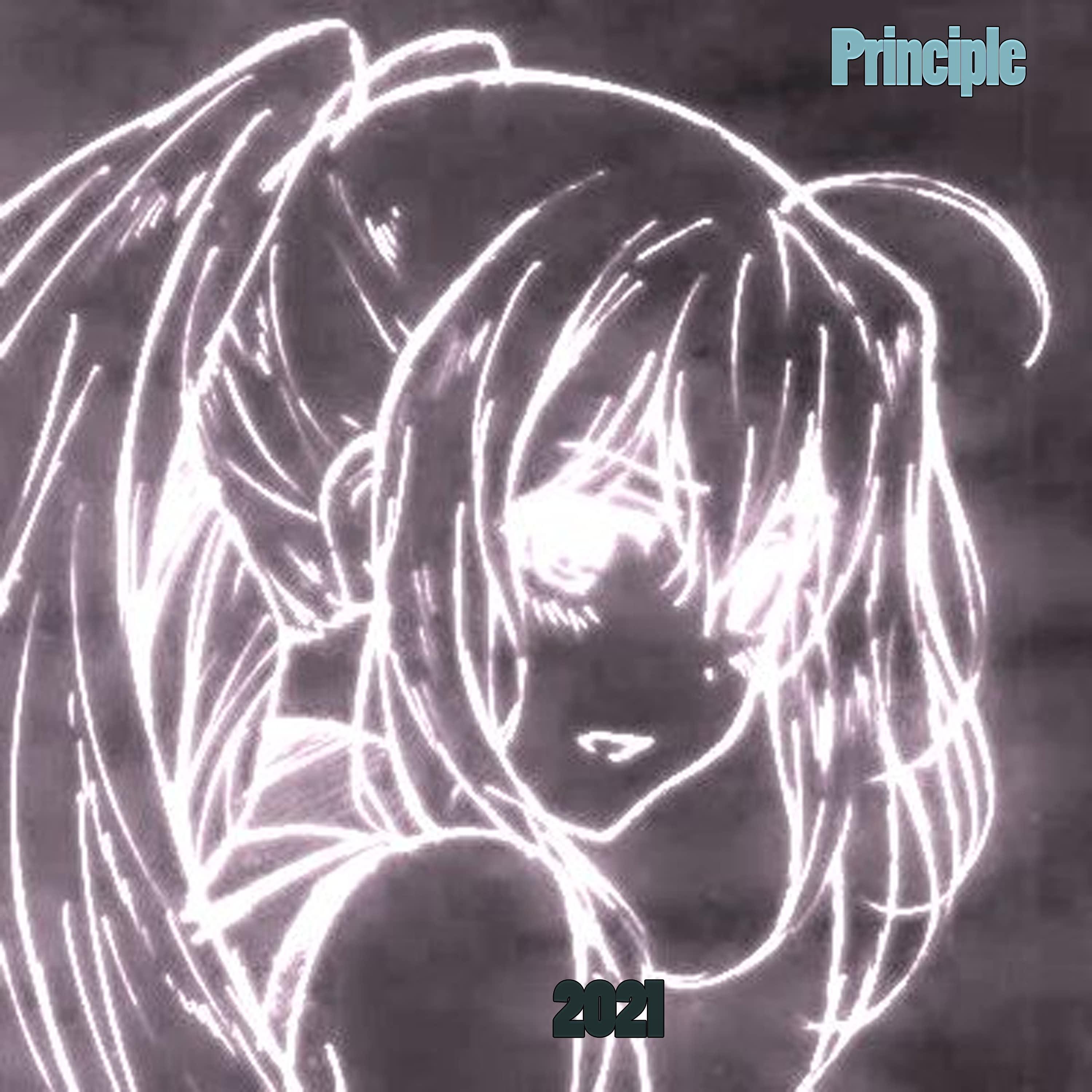 Постер альбома Principle