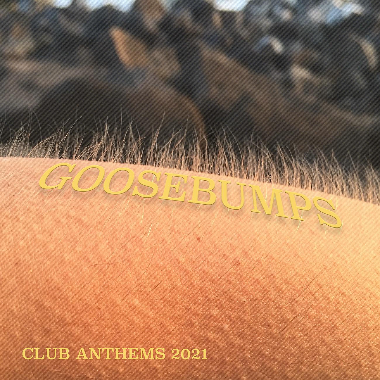 Постер альбома Goosebumps - Club Anthems 2021