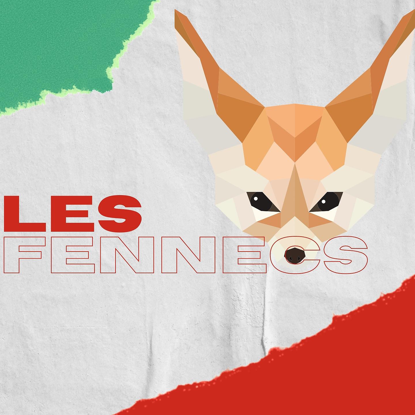 Постер альбома Les Fennecs