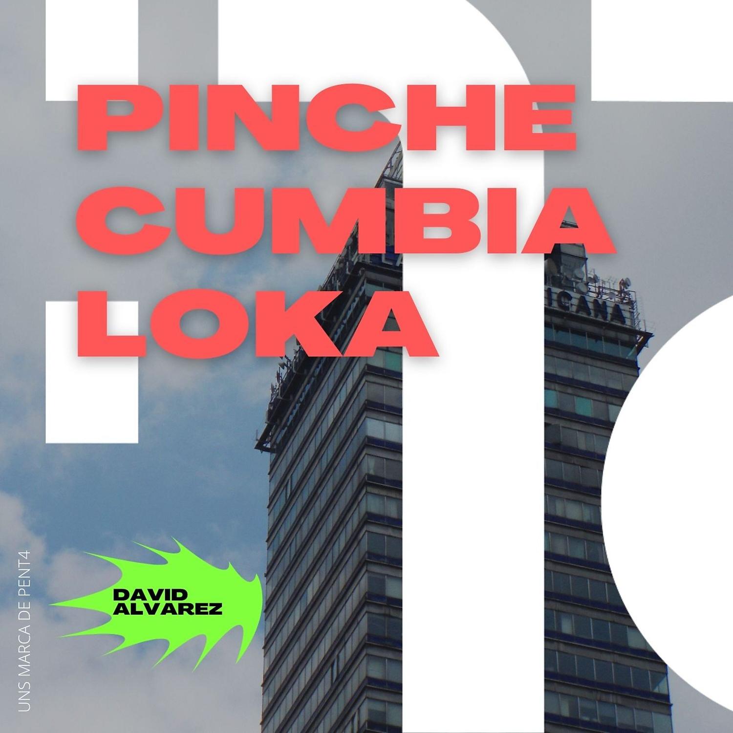 Постер альбома Pinche Cumbia Loka