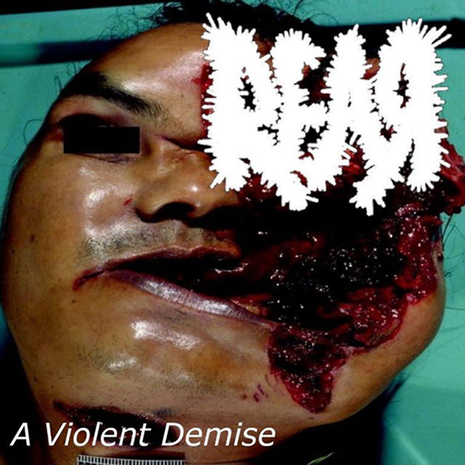 Постер альбома A Violent Demise