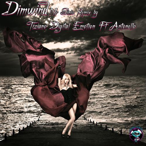 Постер альбома Dimwind