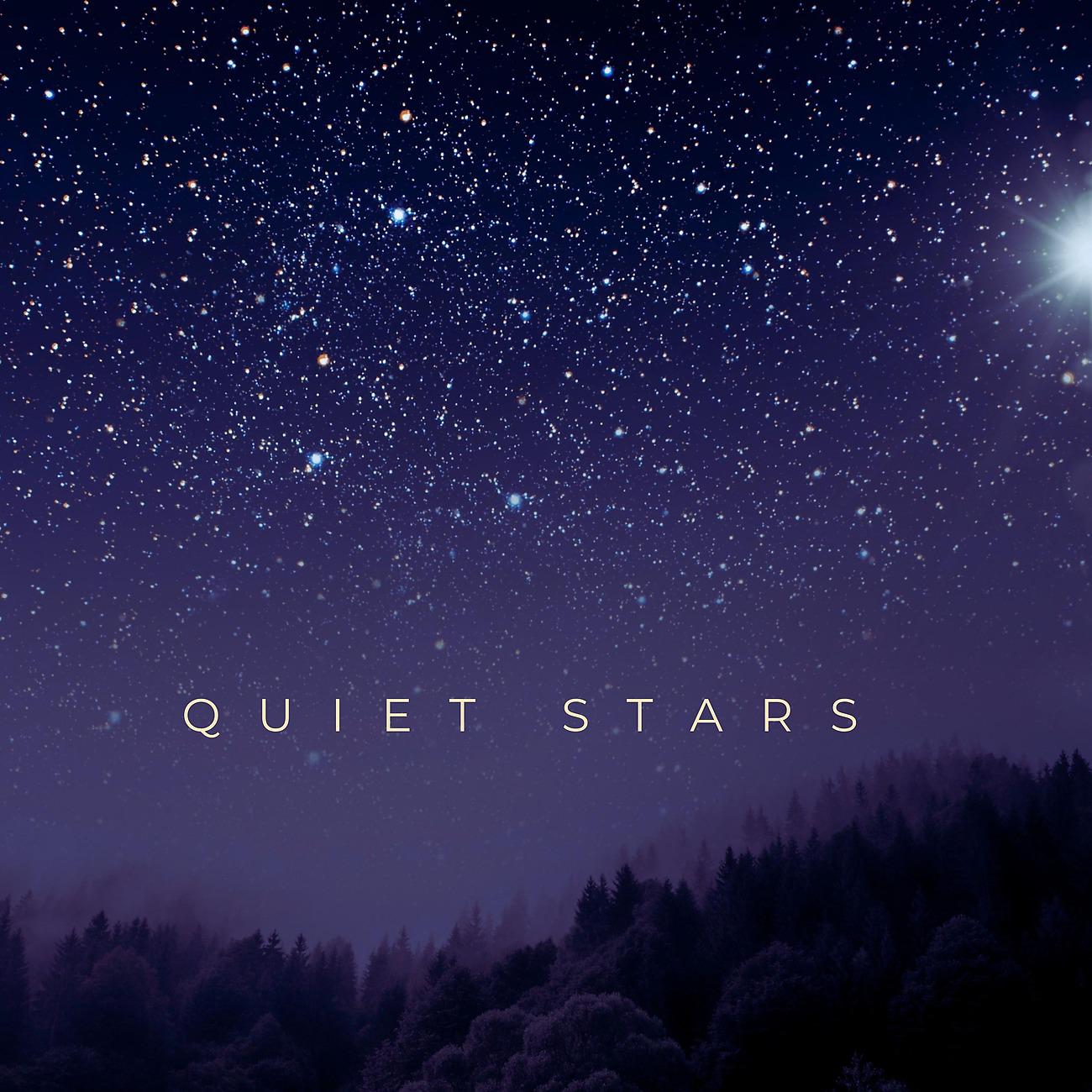 Постер альбома Quiet Stars