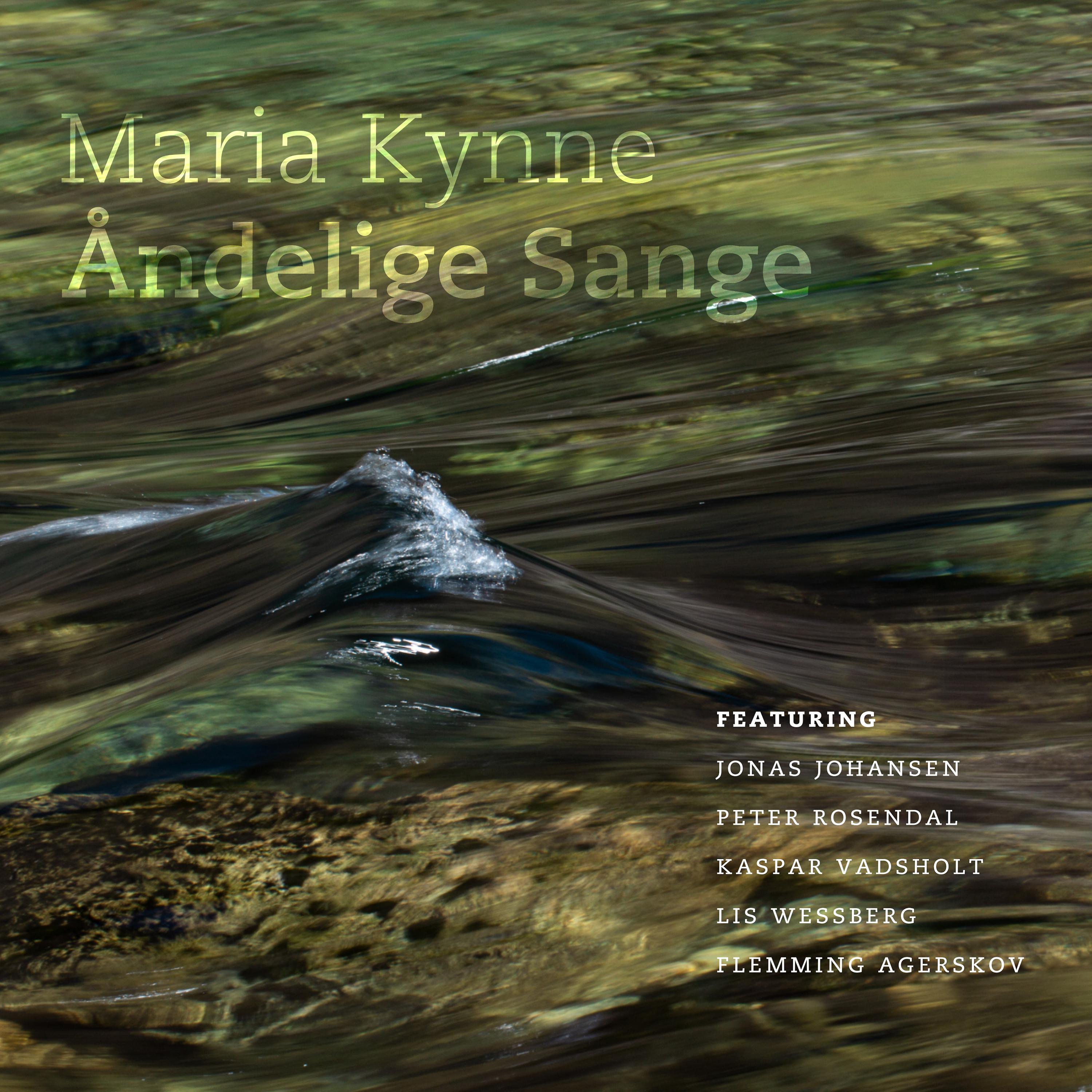Постер альбома Åndelige sange