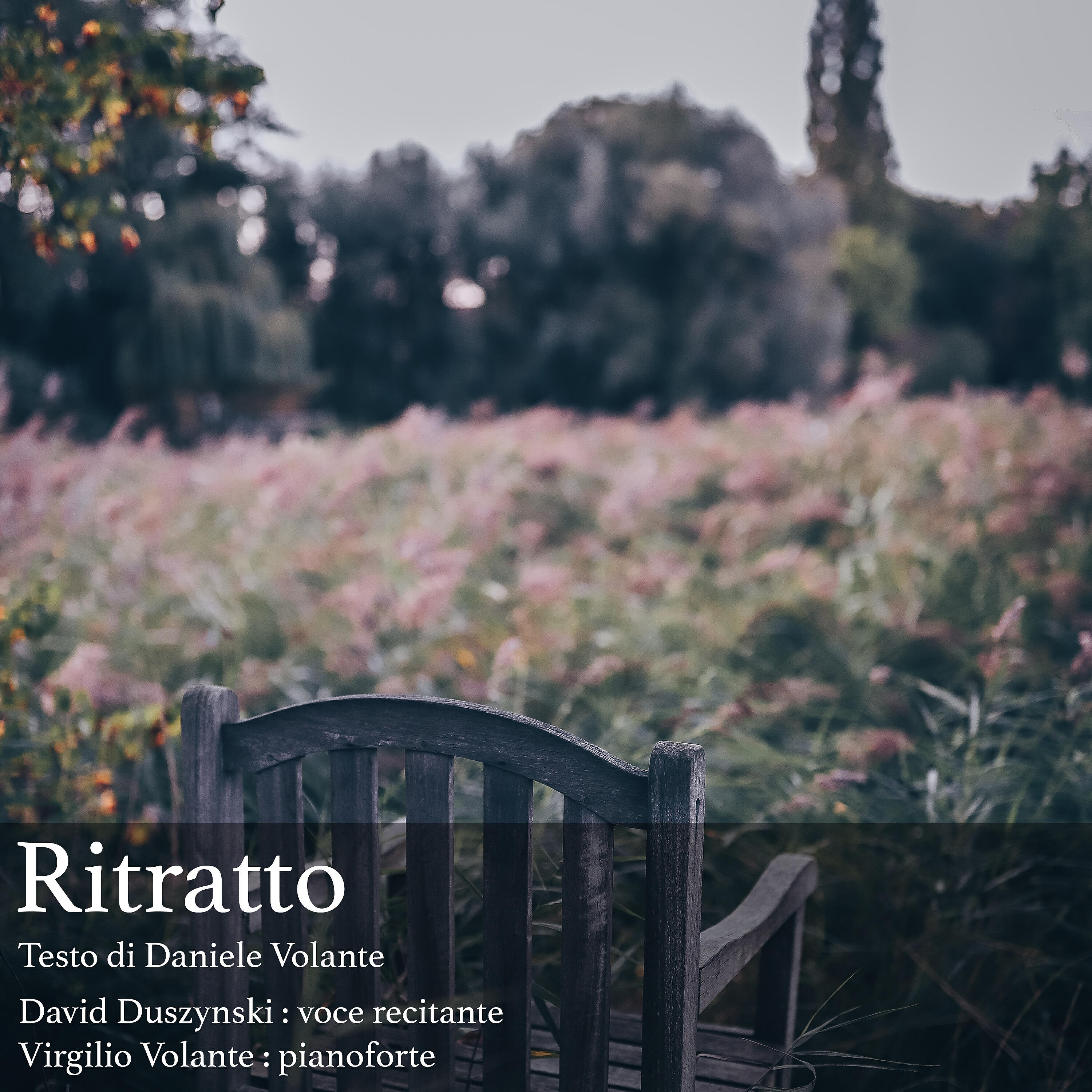 Virgilio Volante - Ritratto