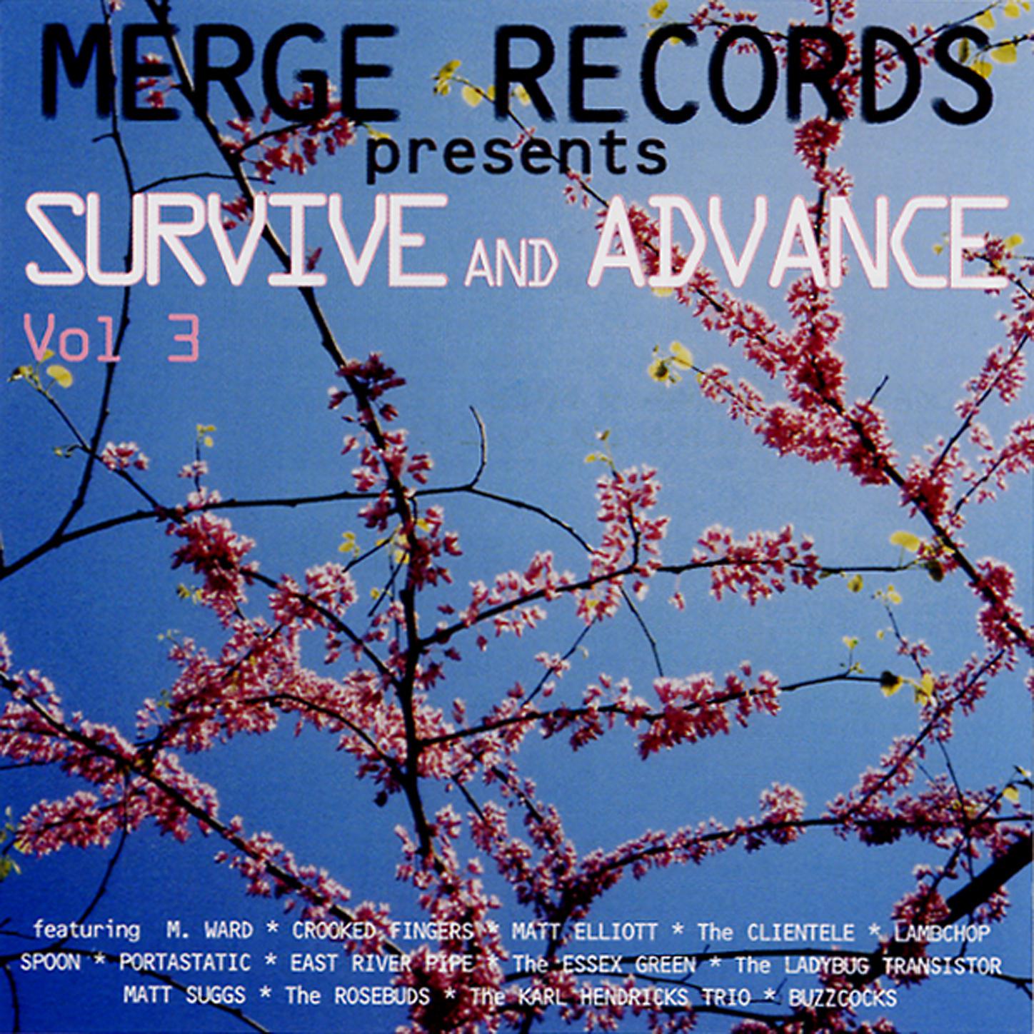 Постер альбома Survive and Advance Vol. 3: A Merge Records Compilation