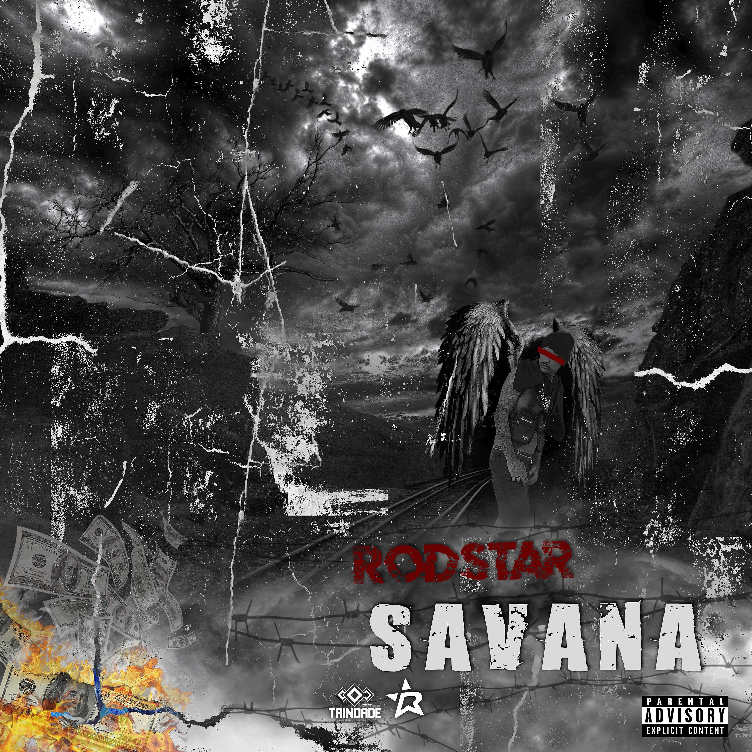 Постер альбома Savana