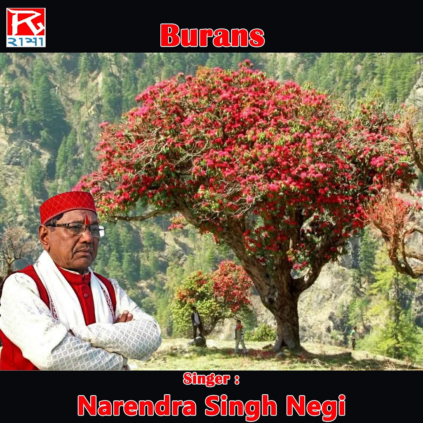 Narendra Singh Negi - Sauna Ka Maina.