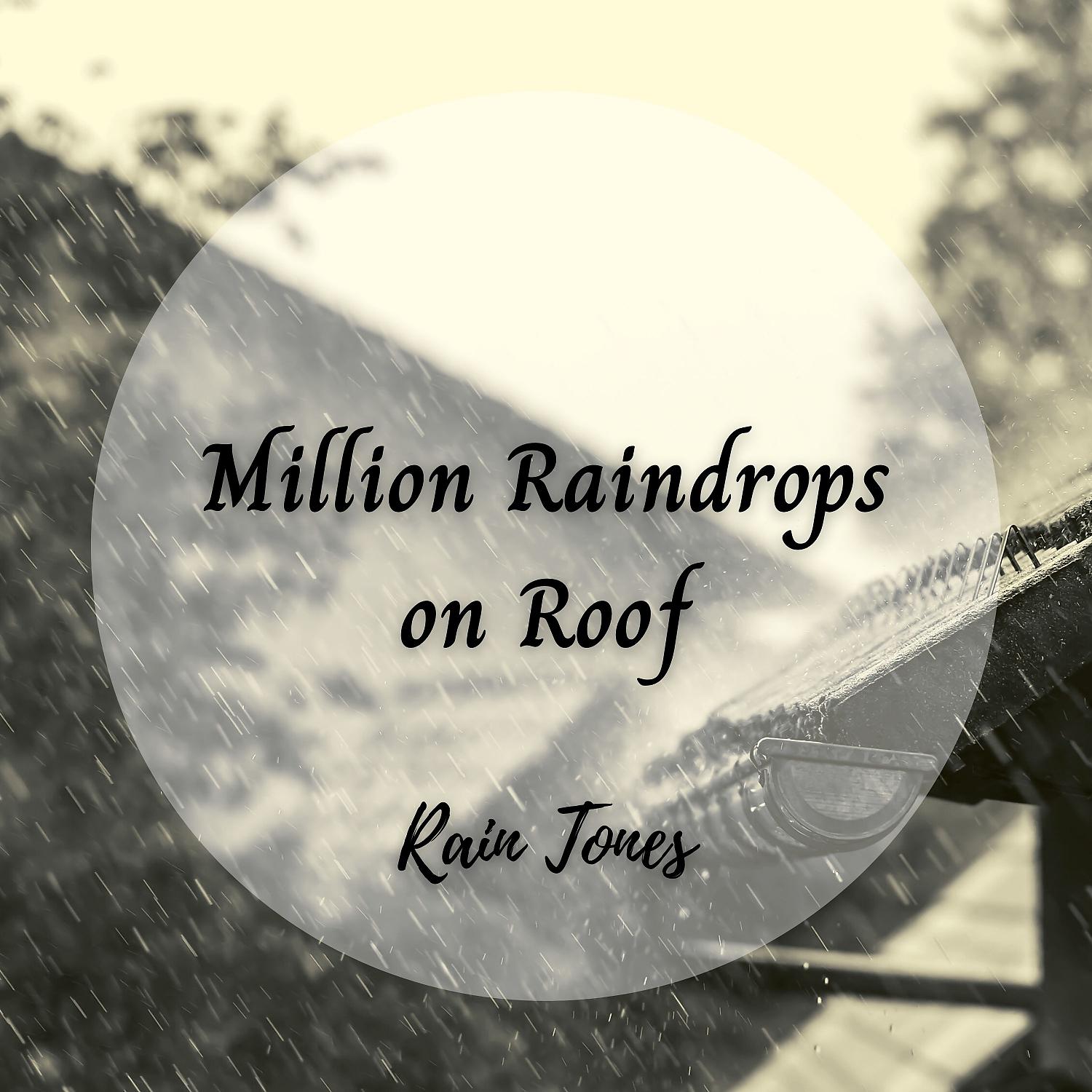 Постер альбома Rain Tones: Million Raindrops on Roof