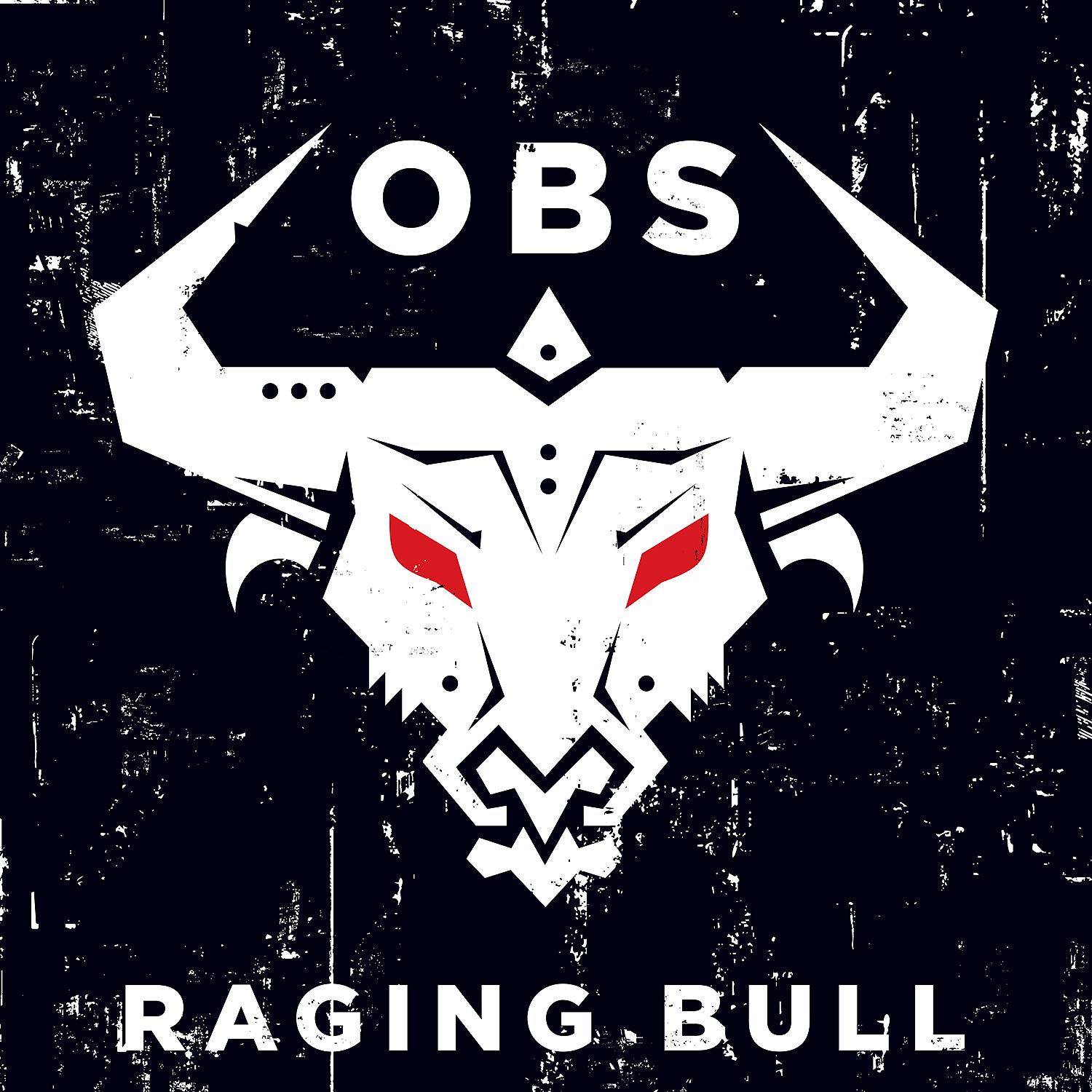 Постер альбома Raging Bull