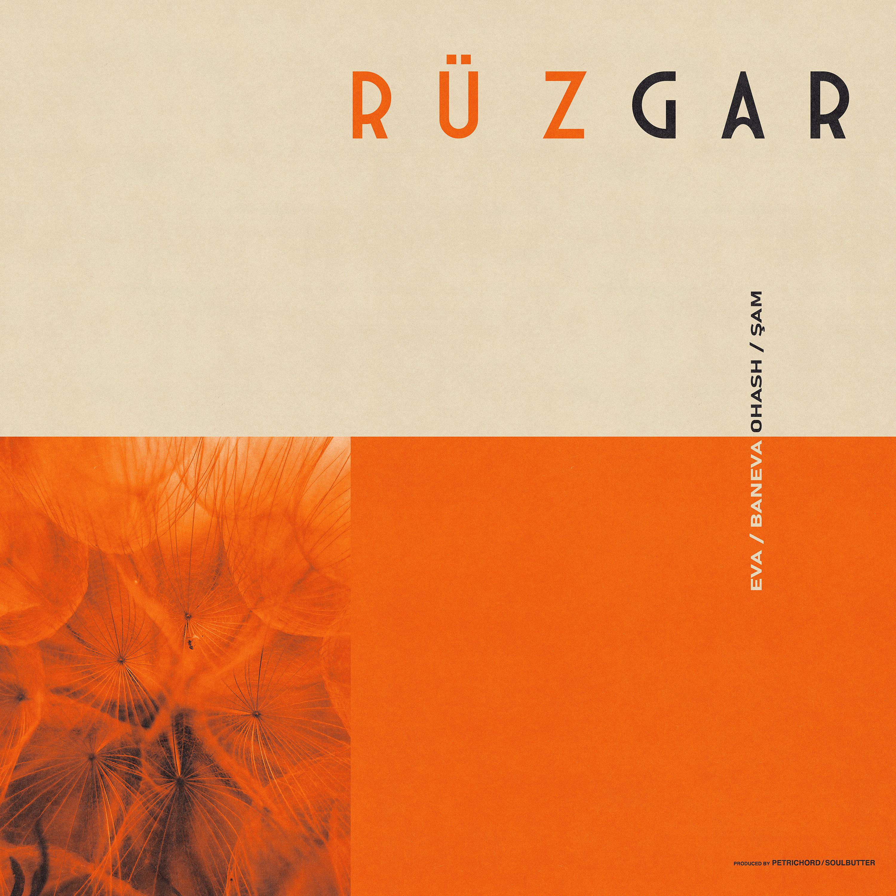 Постер альбома RÜZGAR