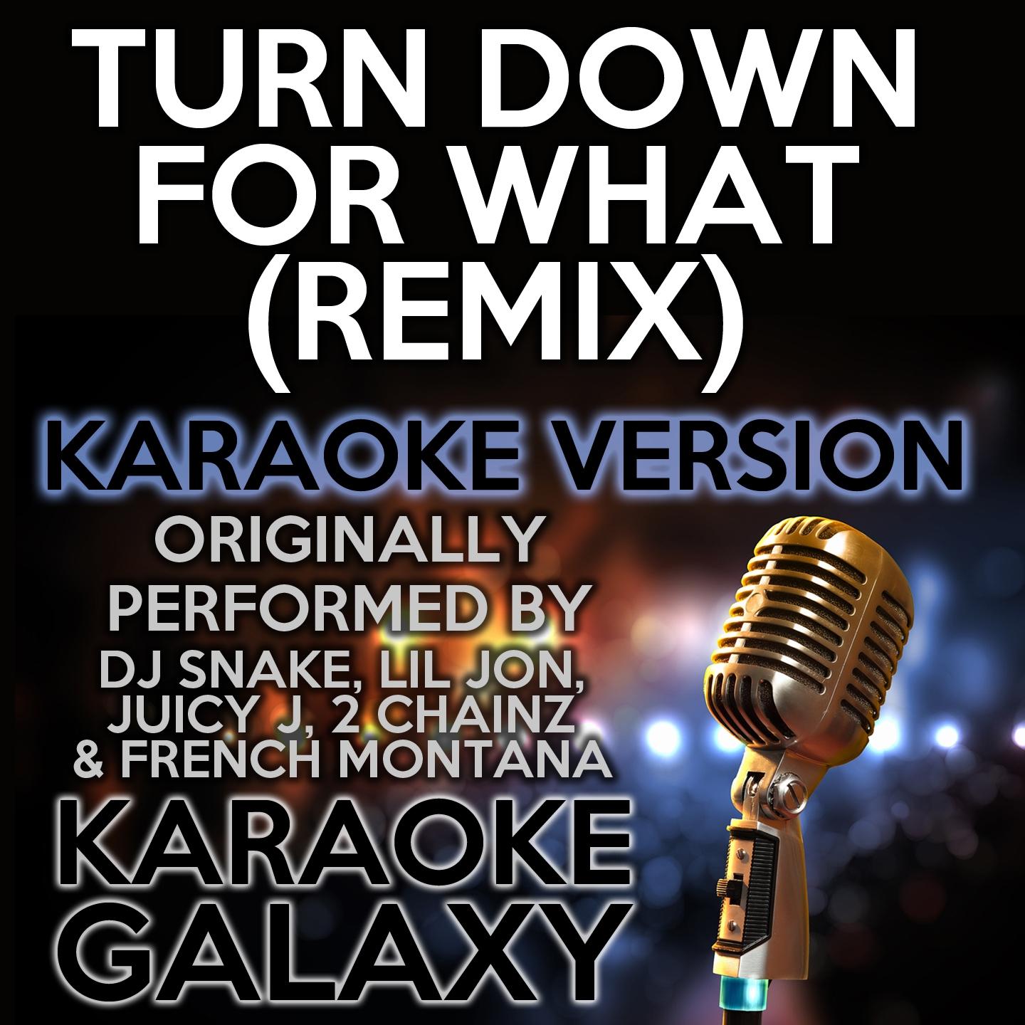 Постер альбома Turn Down For What (Remix) [Karaoke Version]