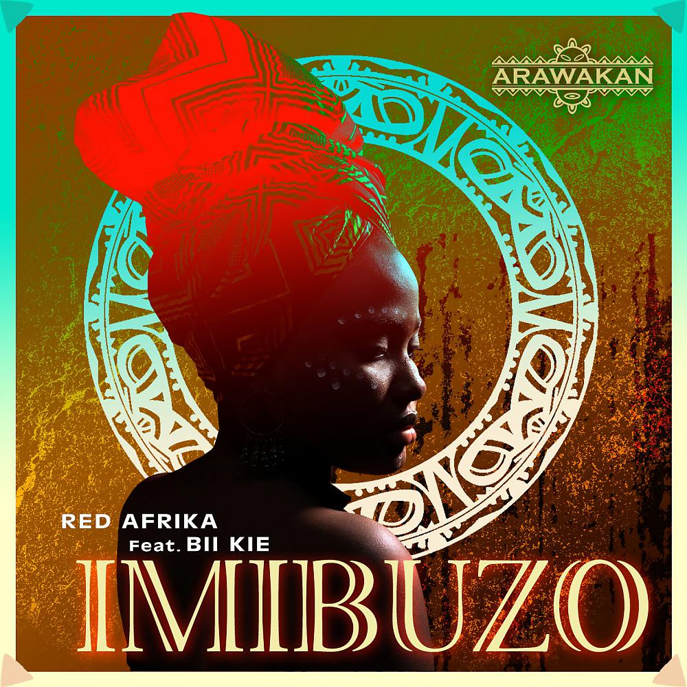 Постер альбома Imibuzo