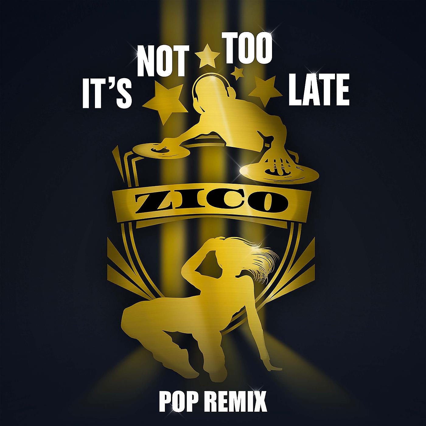 Постер альбома It's Not Too Late (Pop Remix)