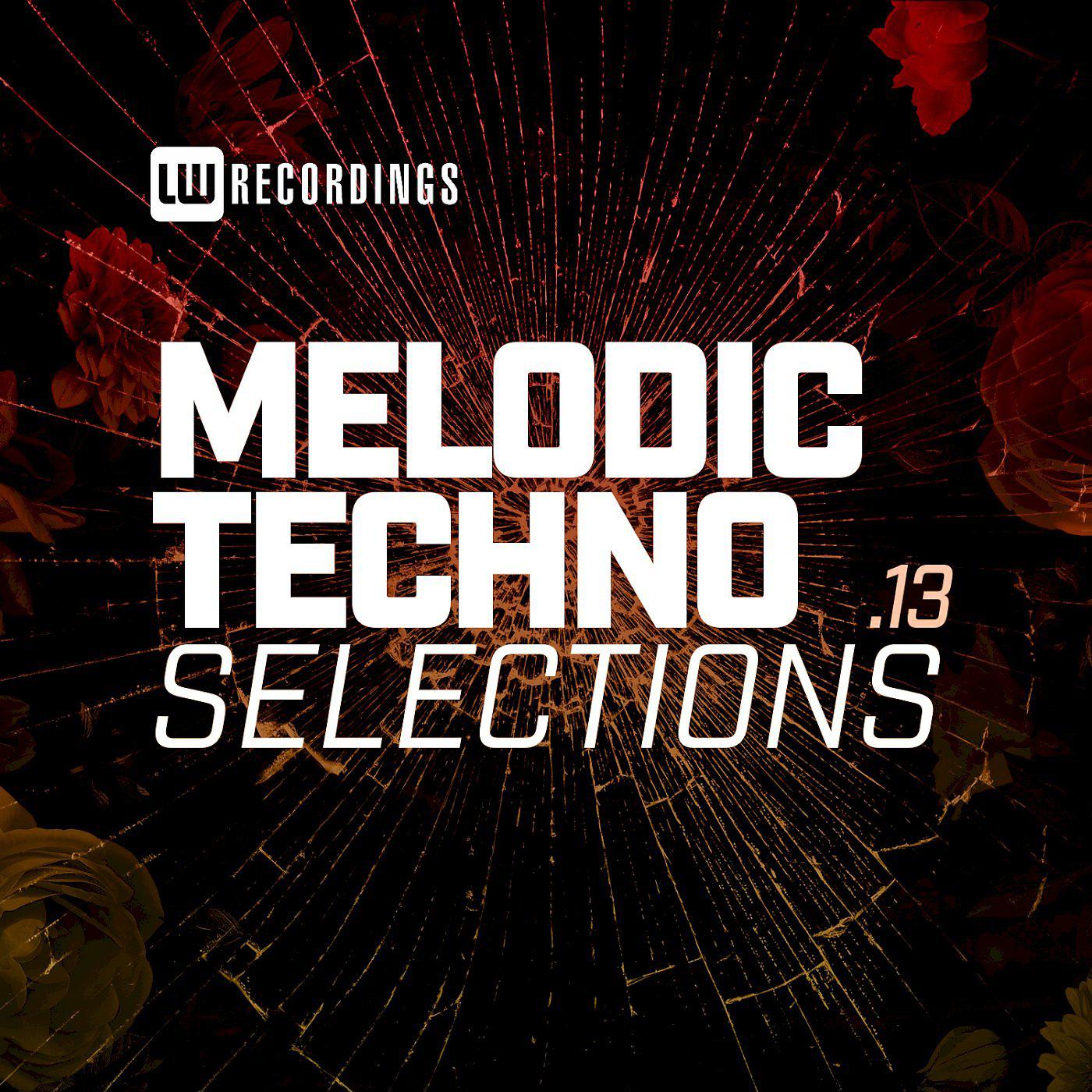 Постер альбома Melodic Techno Selections, Vol. 13