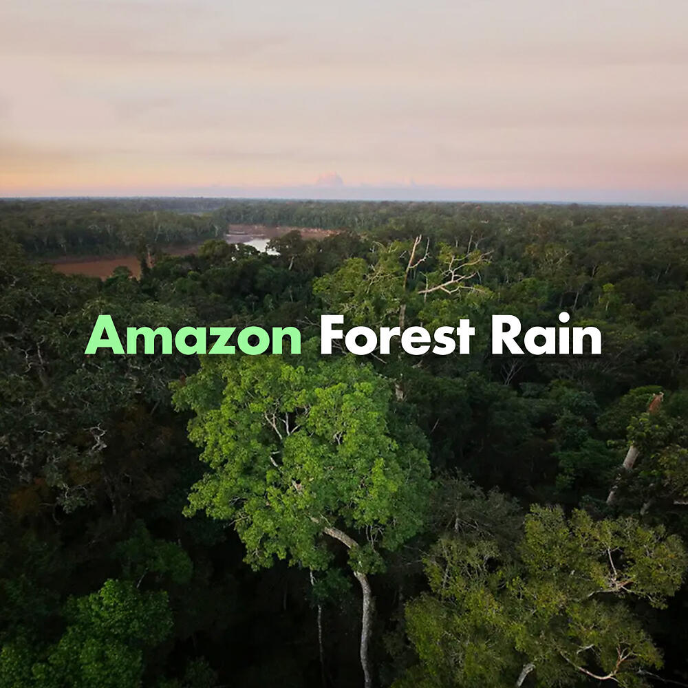 Sounds Of Nature - Cracking Rain Sounds