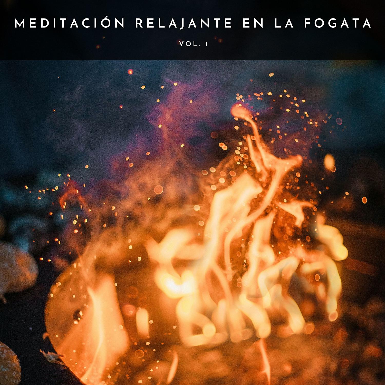 Постер альбома Meditación Relajante En La Fogata Vol. 1