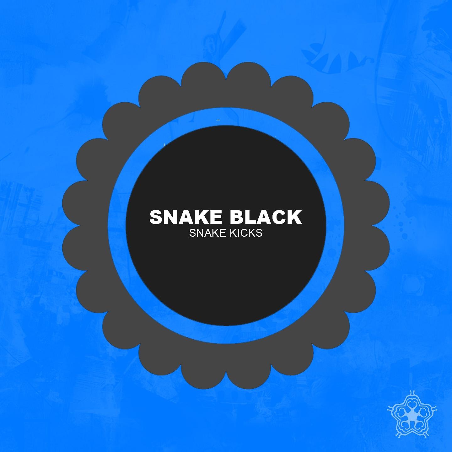 Постер альбома Snake Kicks