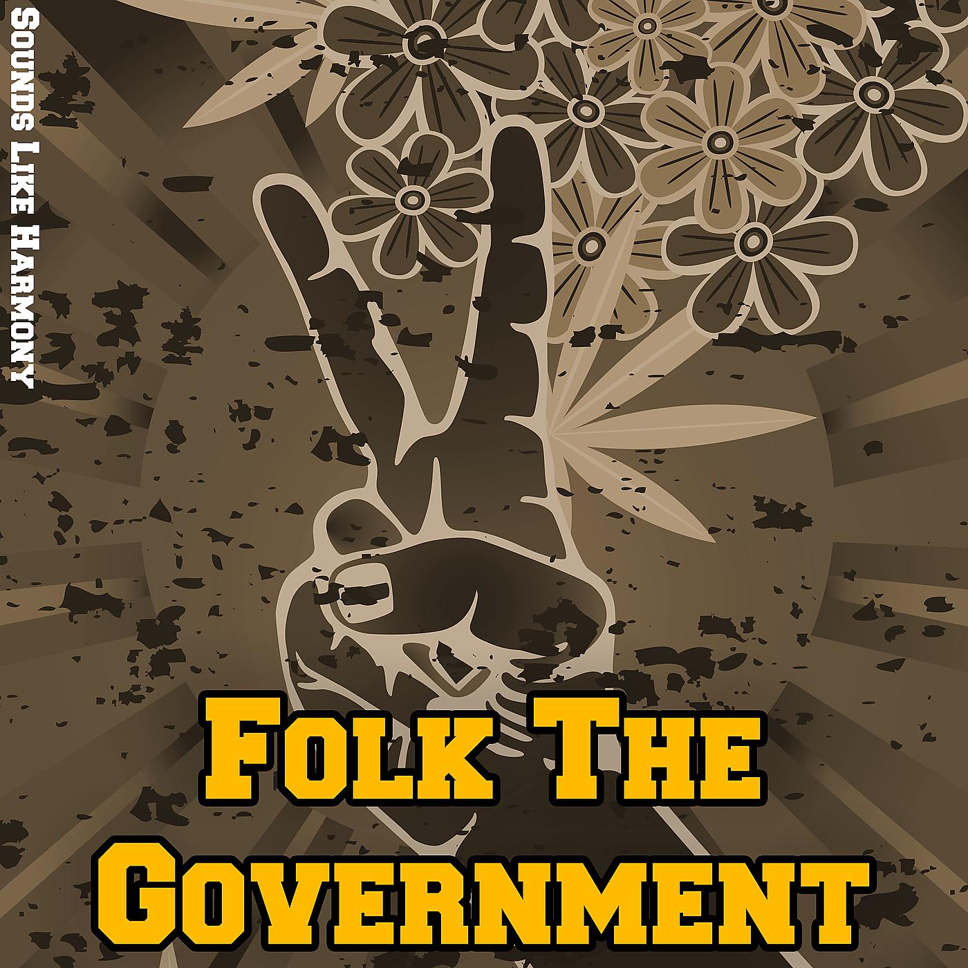 Постер альбома Folk the Government
