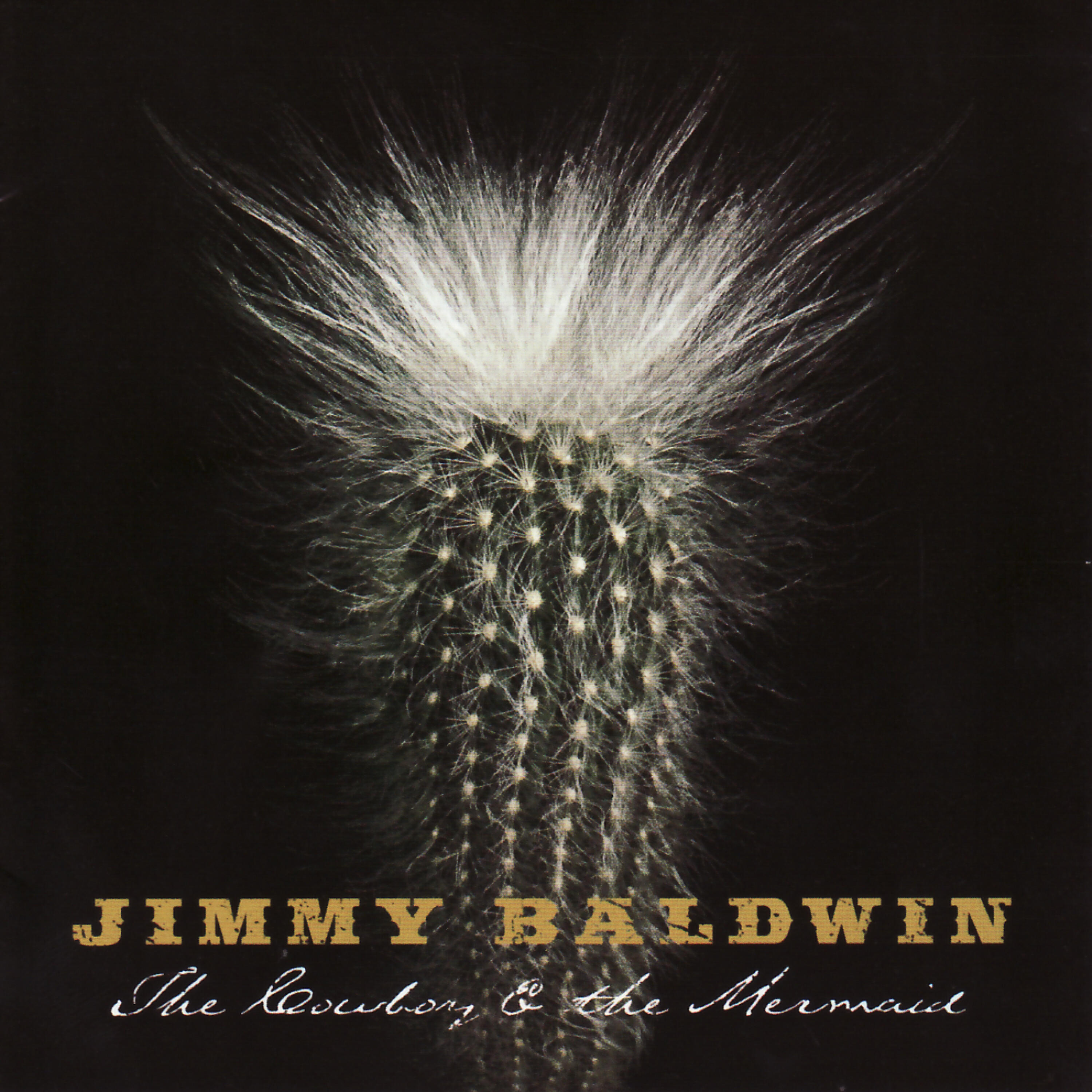 Jimmy Baldwin - Who Put the 