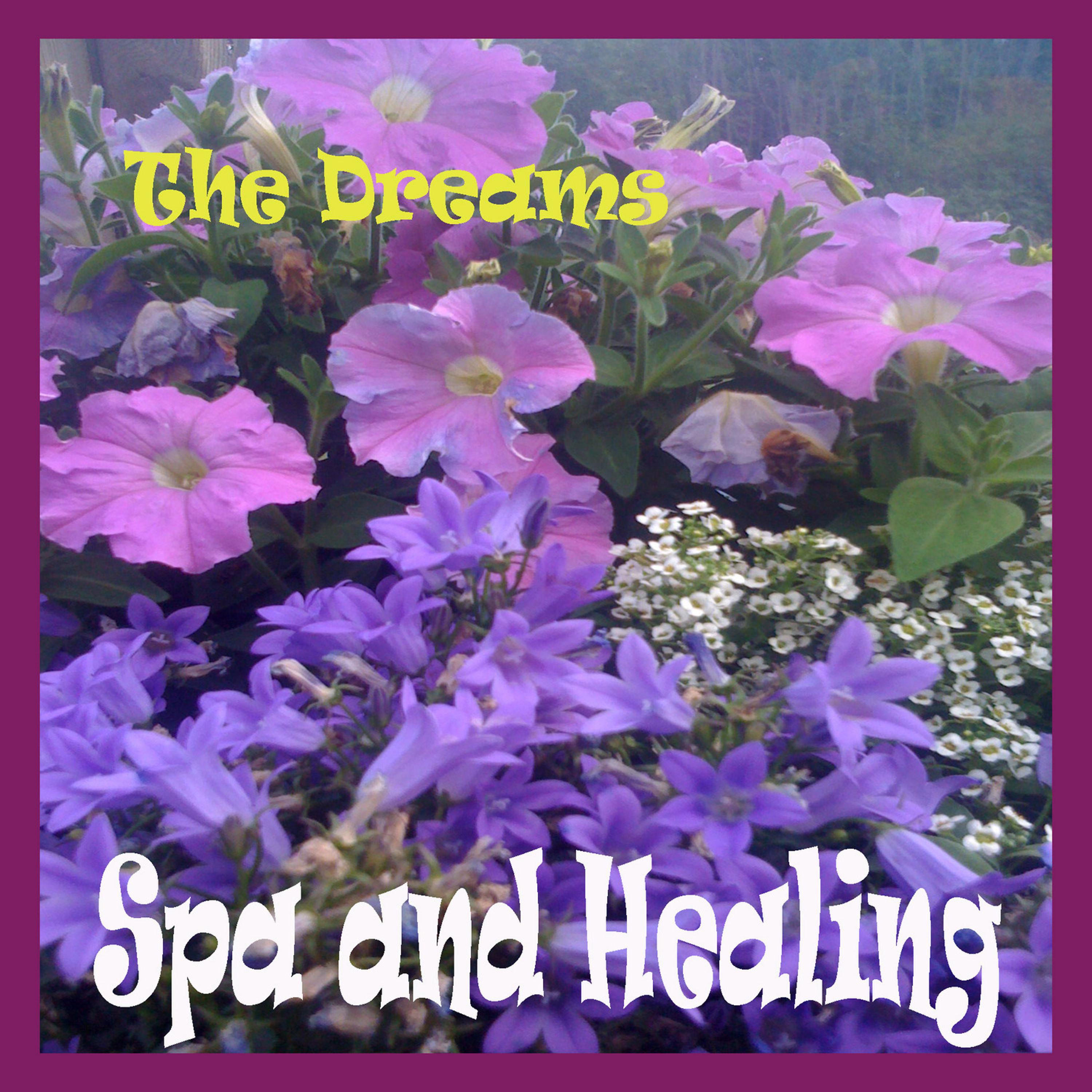 Постер альбома Spa and Healing